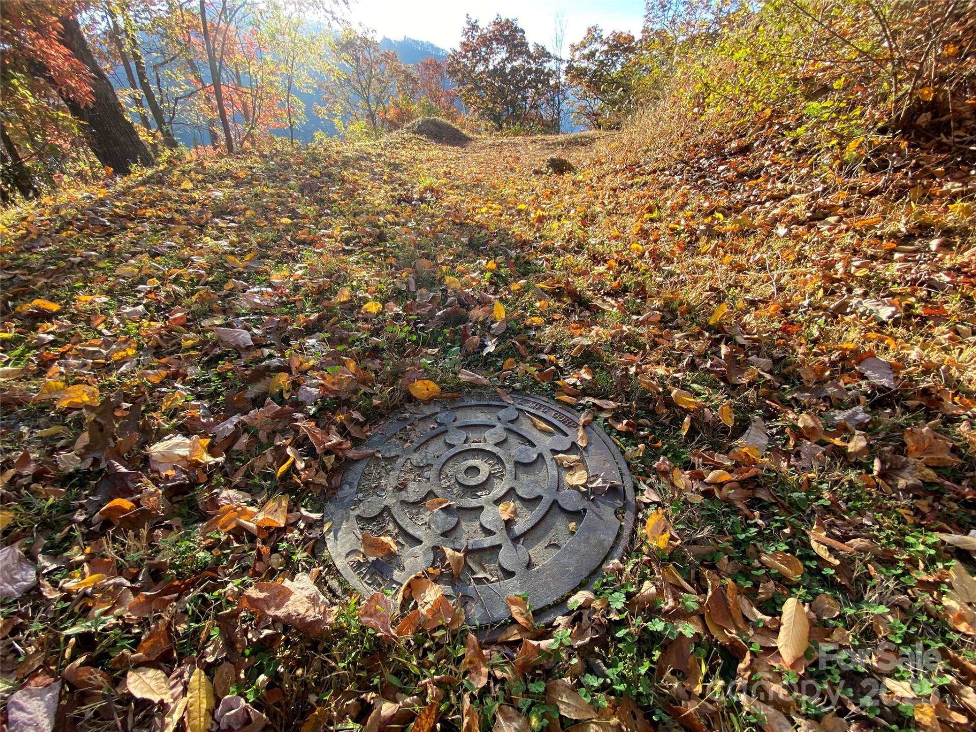 40 Cougar Lane #13,14,15,16 - Photo 10