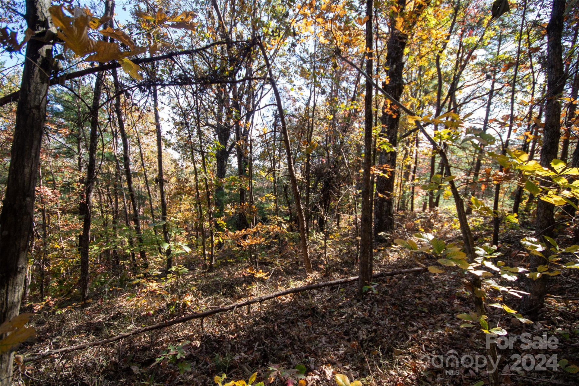 22 Hackberry Road #22 - Photo 11