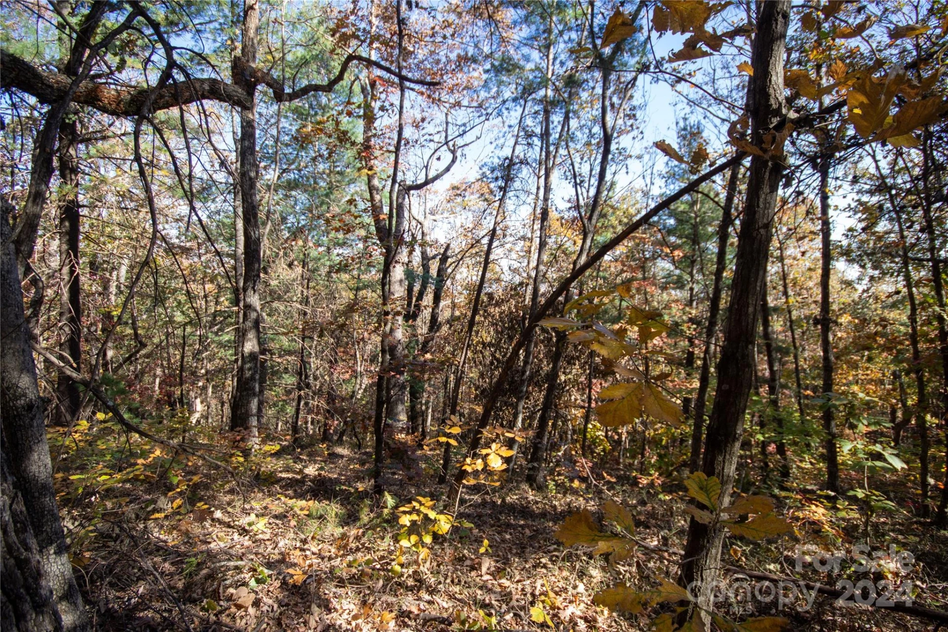 22 Hackberry Road #22 - Photo 12