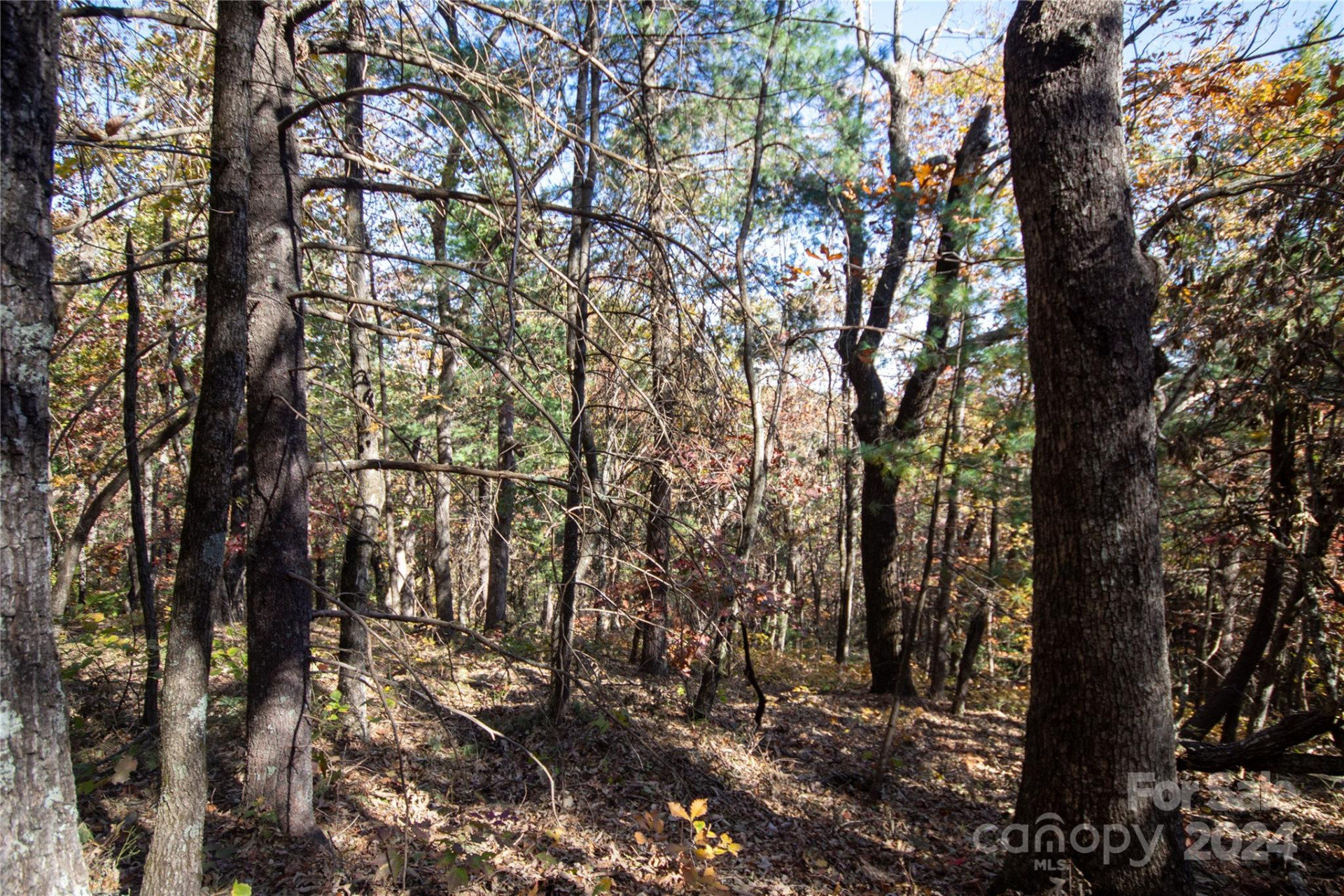 22 Hackberry Road #22 - Photo 13