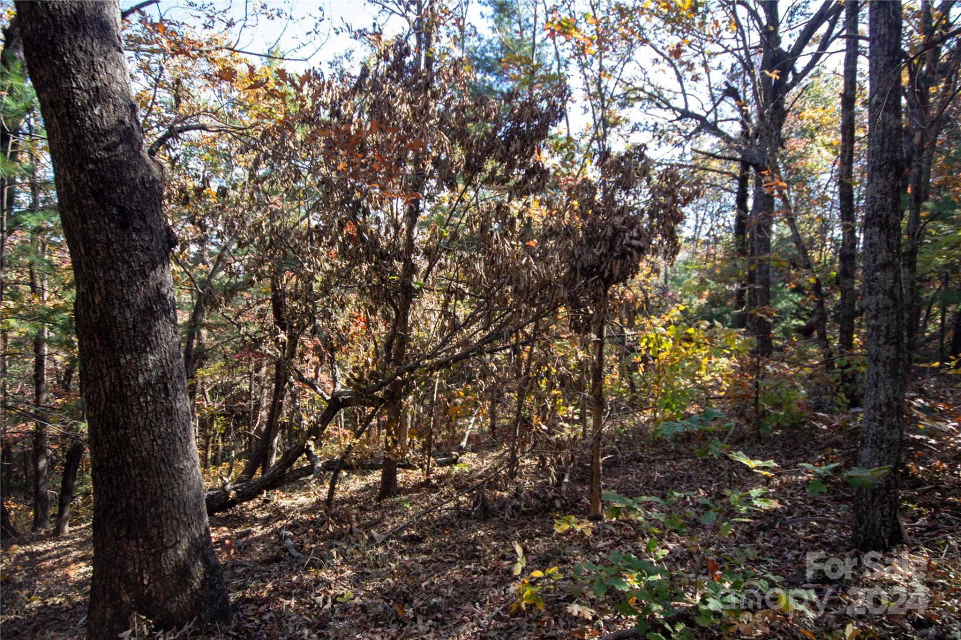 22 Hackberry Road #22 - Photo 14