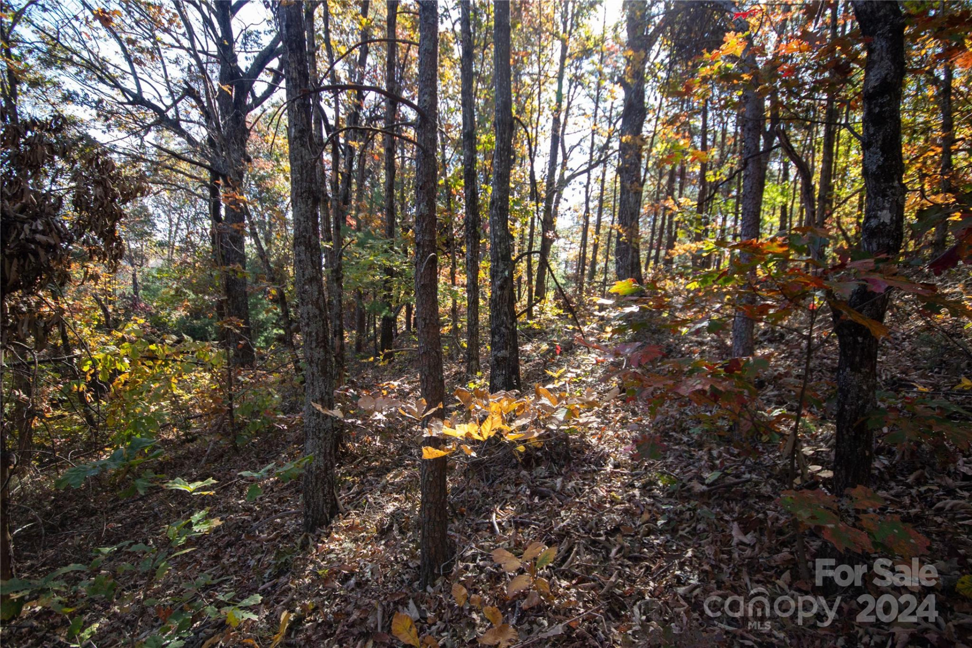 22 Hackberry Road #22 - Photo 15