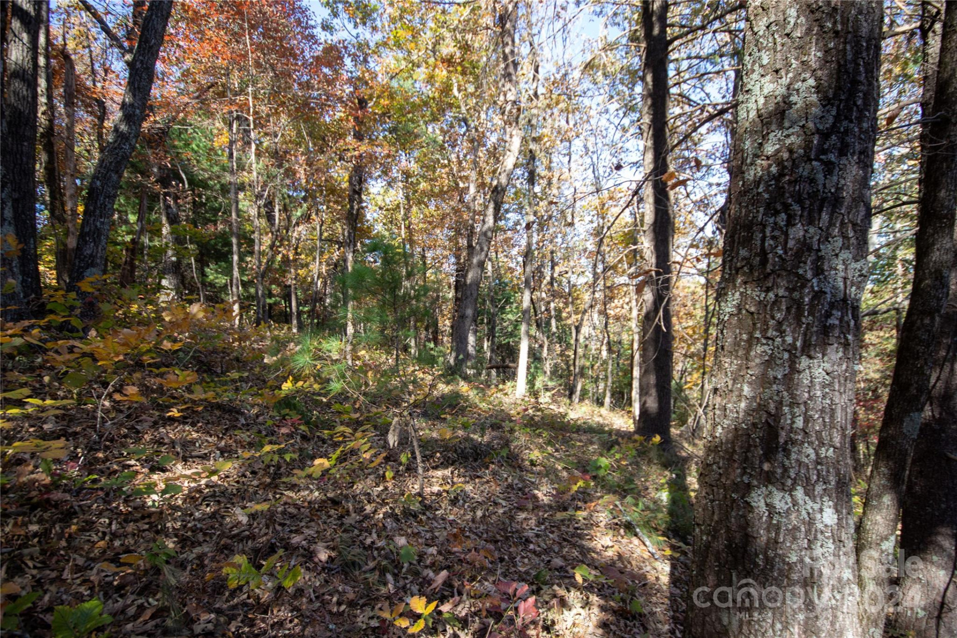 22 Hackberry Road #22 - Photo 16