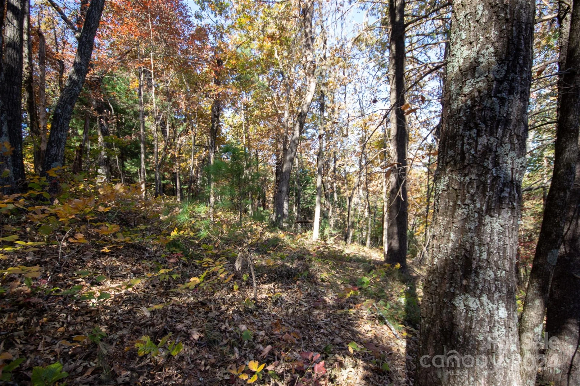 22 Hackberry Road #22 - Photo 16