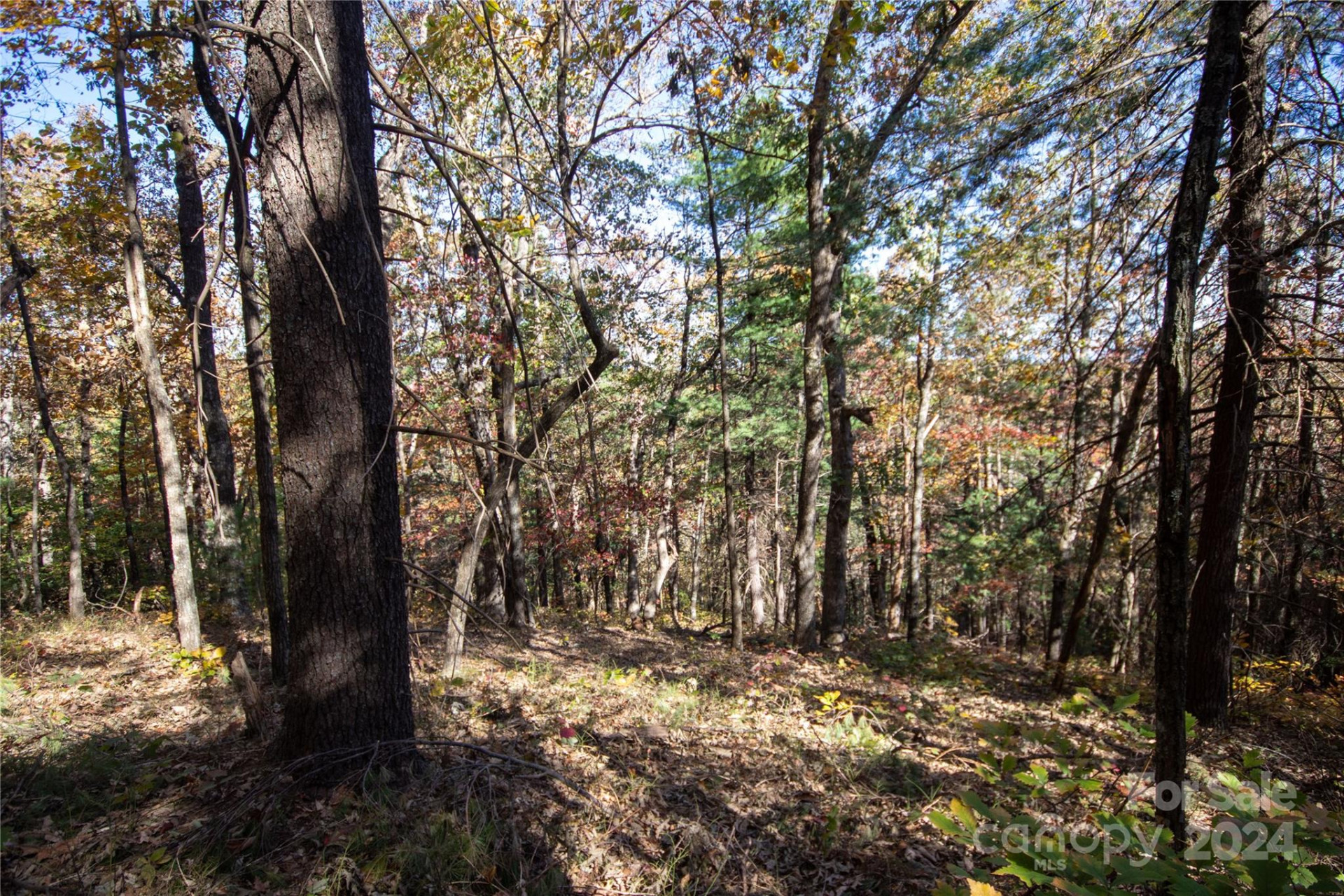 22 Hackberry Road #22 - Photo 17