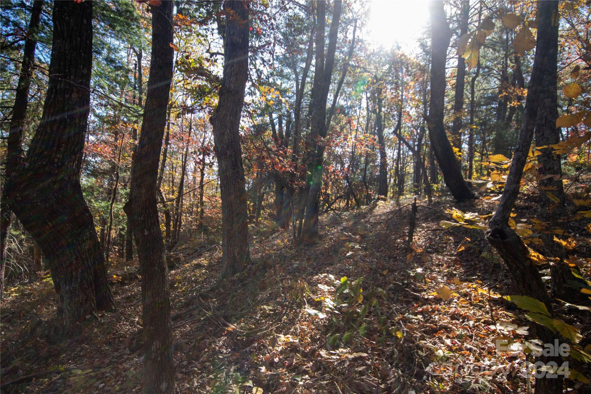 22 Hackberry Road #22 - Photo 19