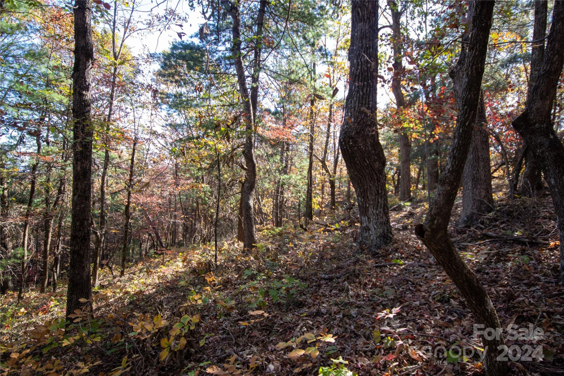 22 Hackberry Road #22 - Photo 20