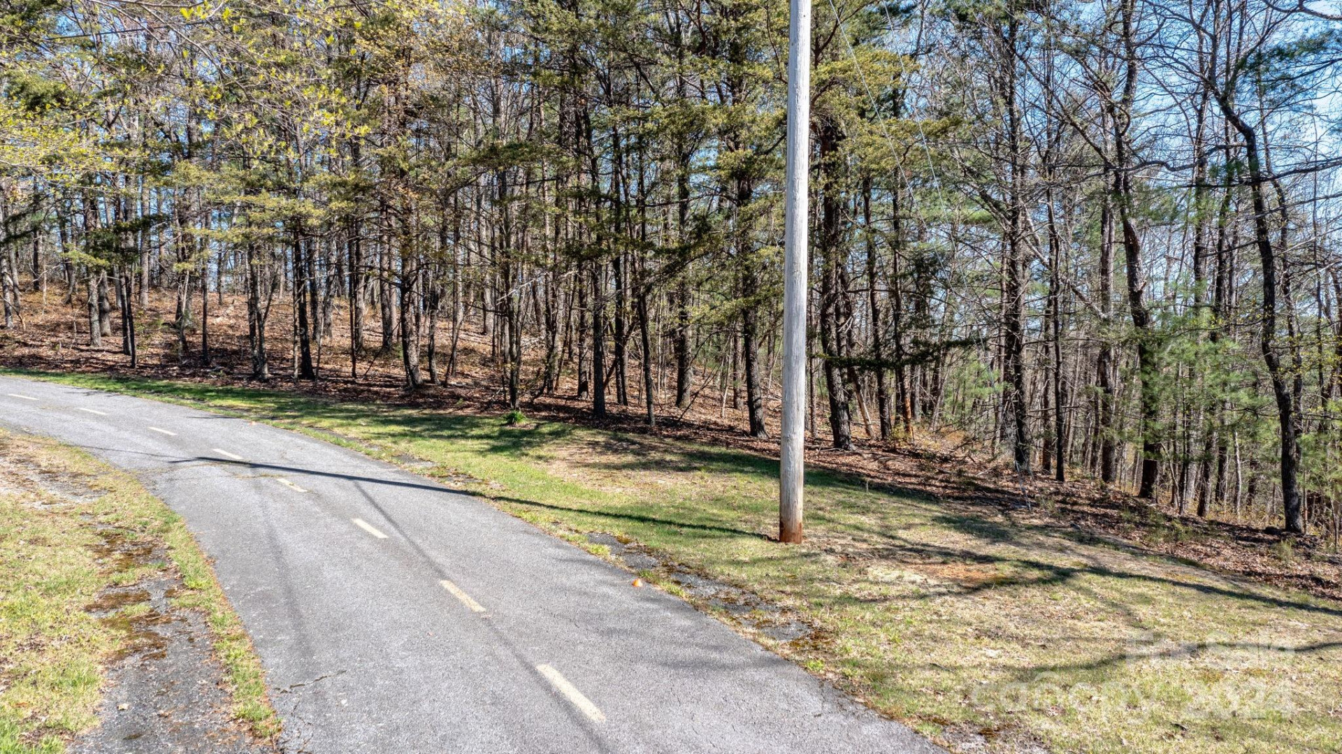 22 Hackberry Road #22 - Photo 3