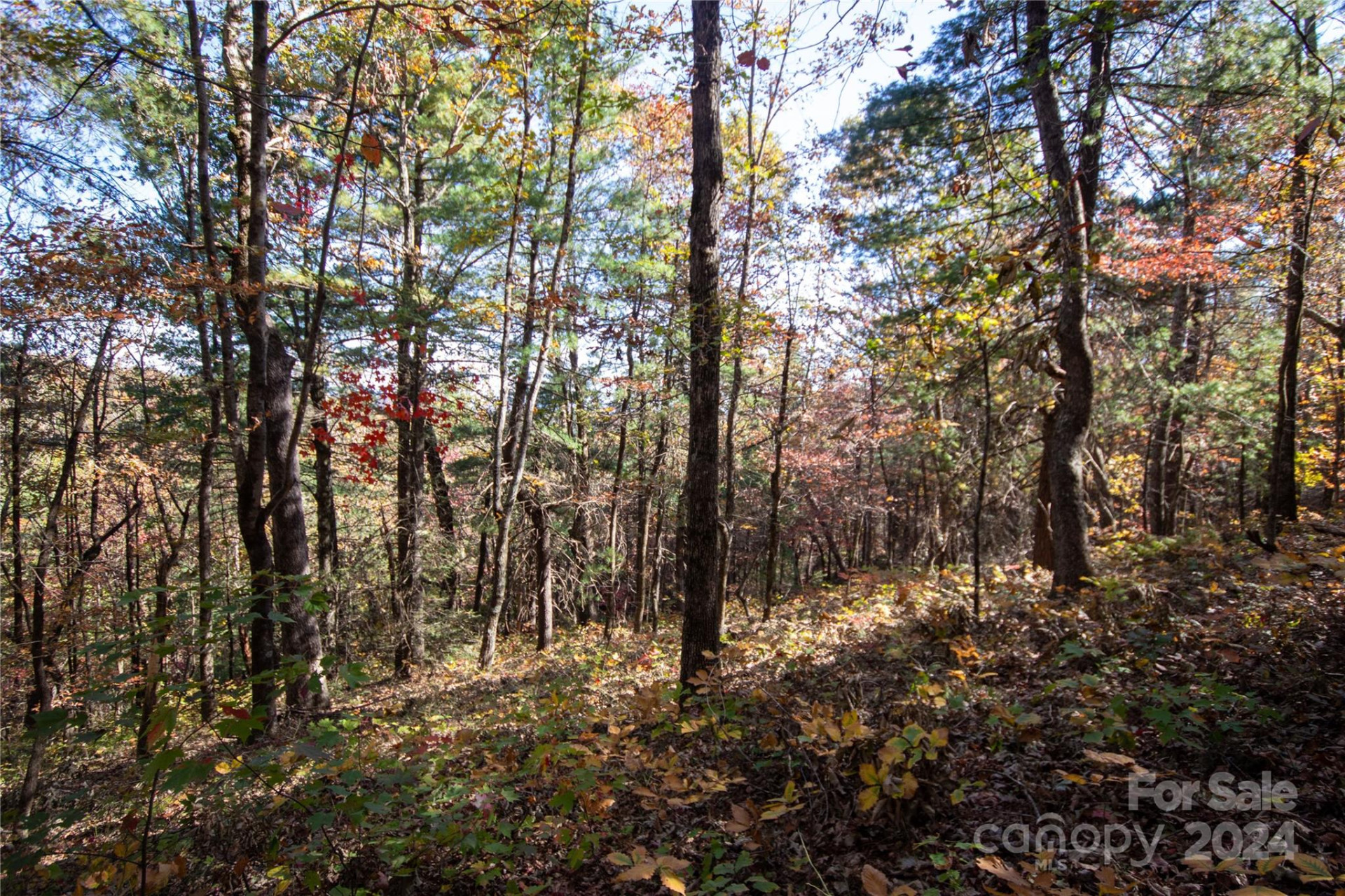 22 Hackberry Road #22 - Photo 21