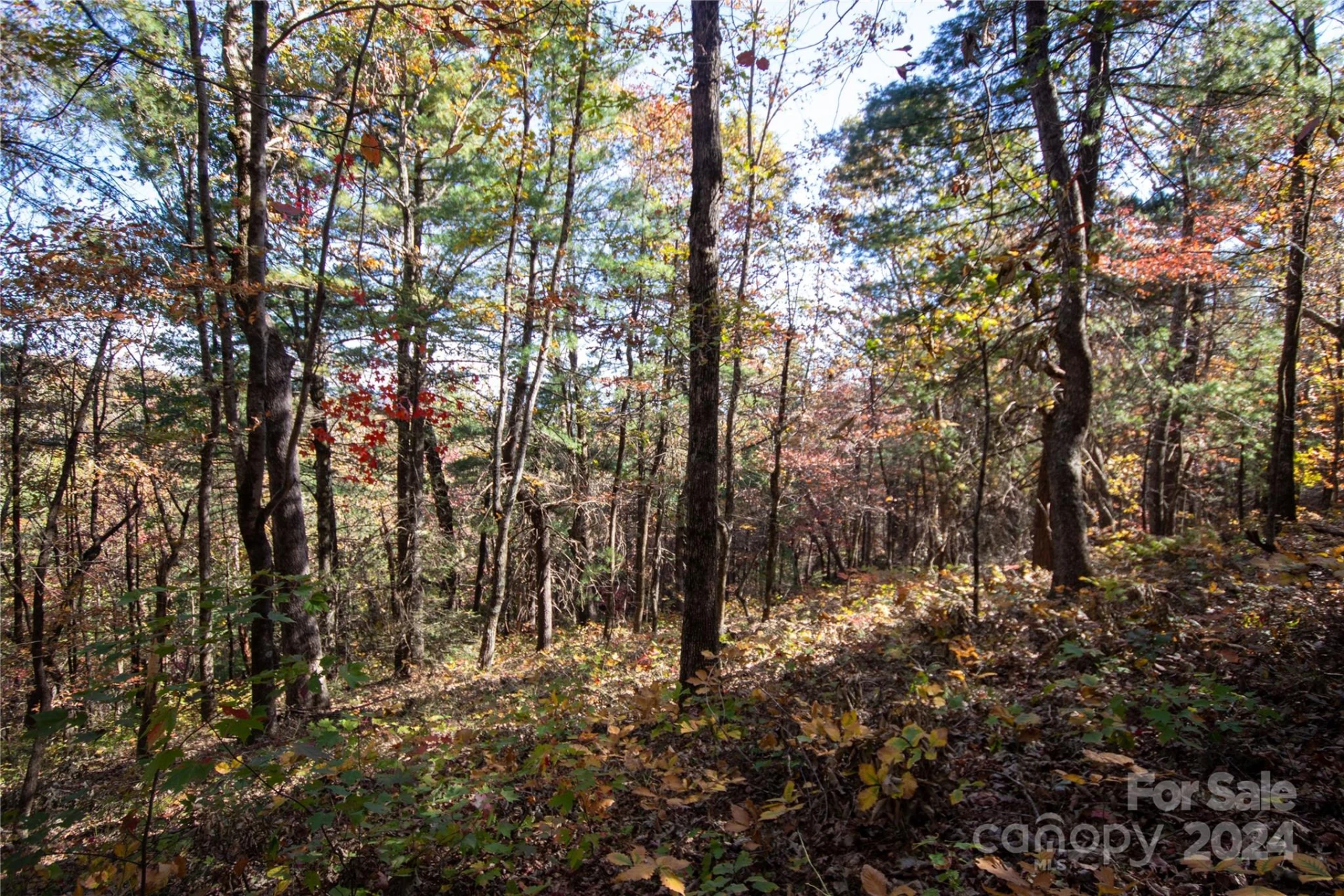 22 Hackberry Road #22 - Photo 21