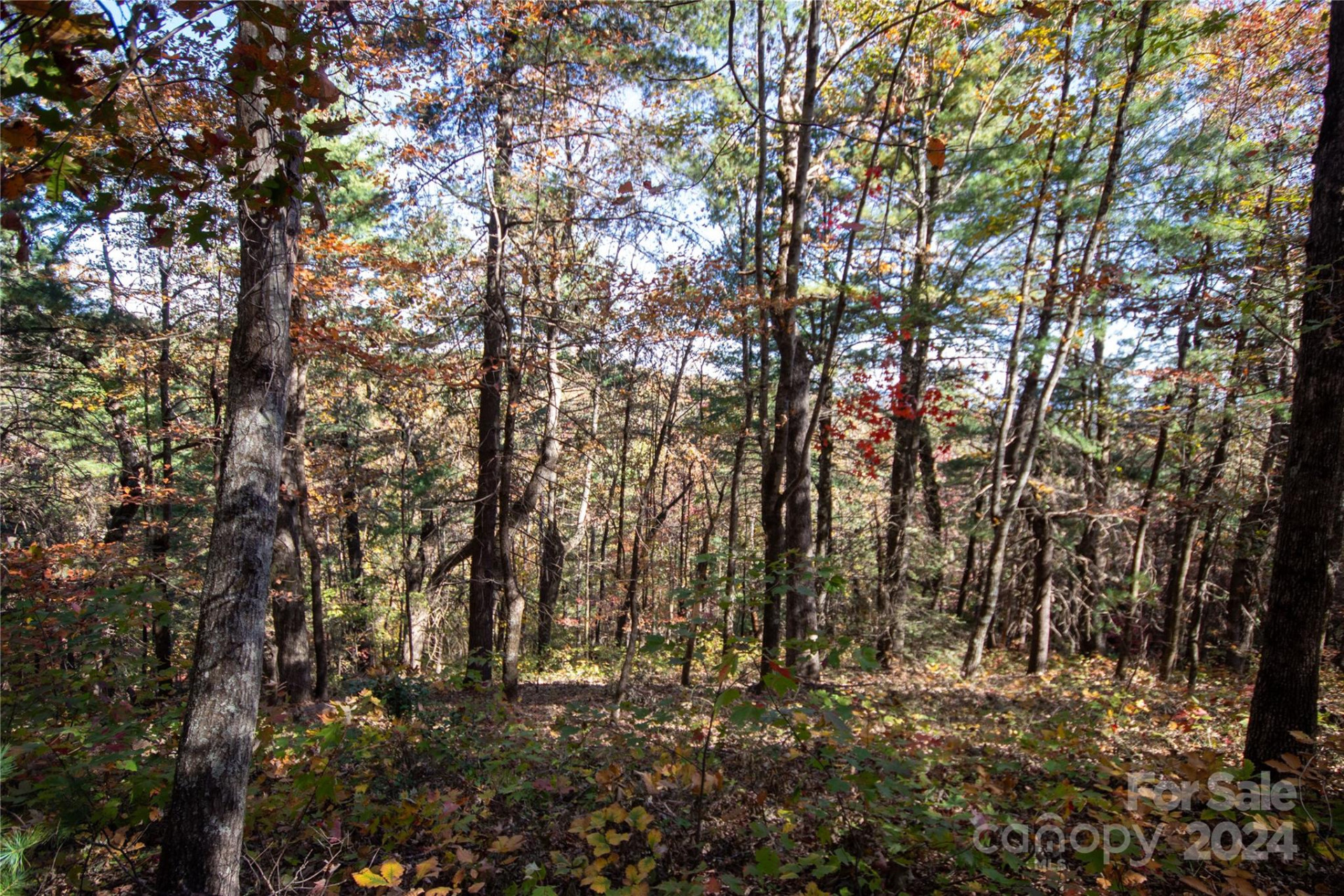 22 Hackberry Road #22 - Photo 22