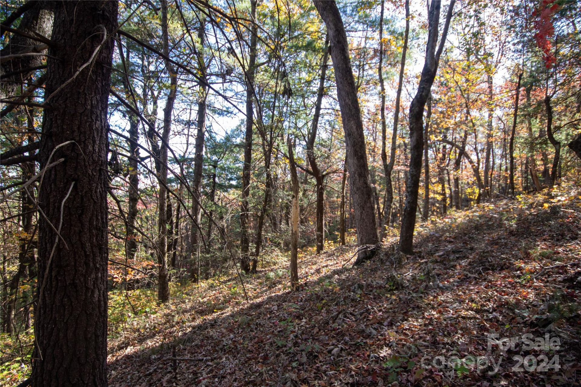 22 Hackberry Road #22 - Photo 23