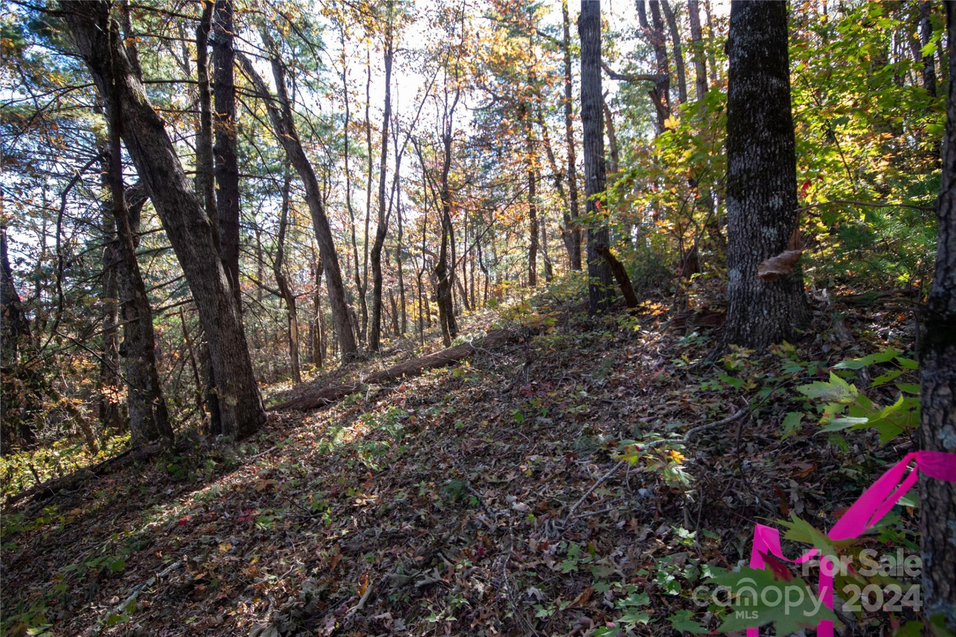 22 Hackberry Road #22 - Photo 24