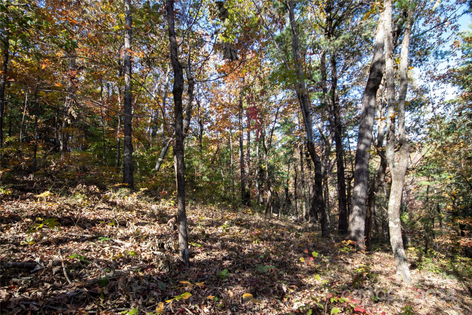 22 Hackberry Road #22 - Photo 25