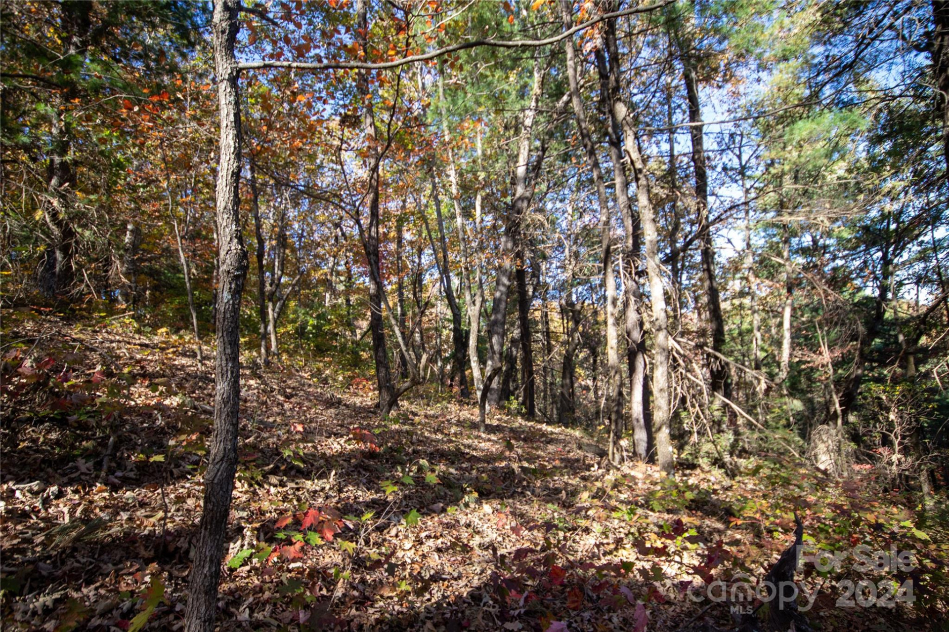 22 Hackberry Road #22 - Photo 26