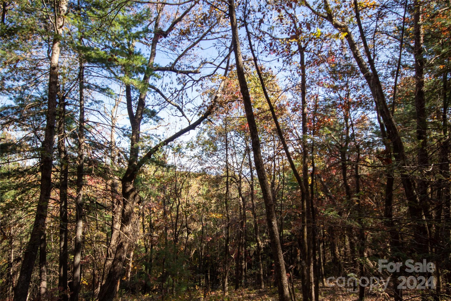 22 Hackberry Road #22 - Photo 27