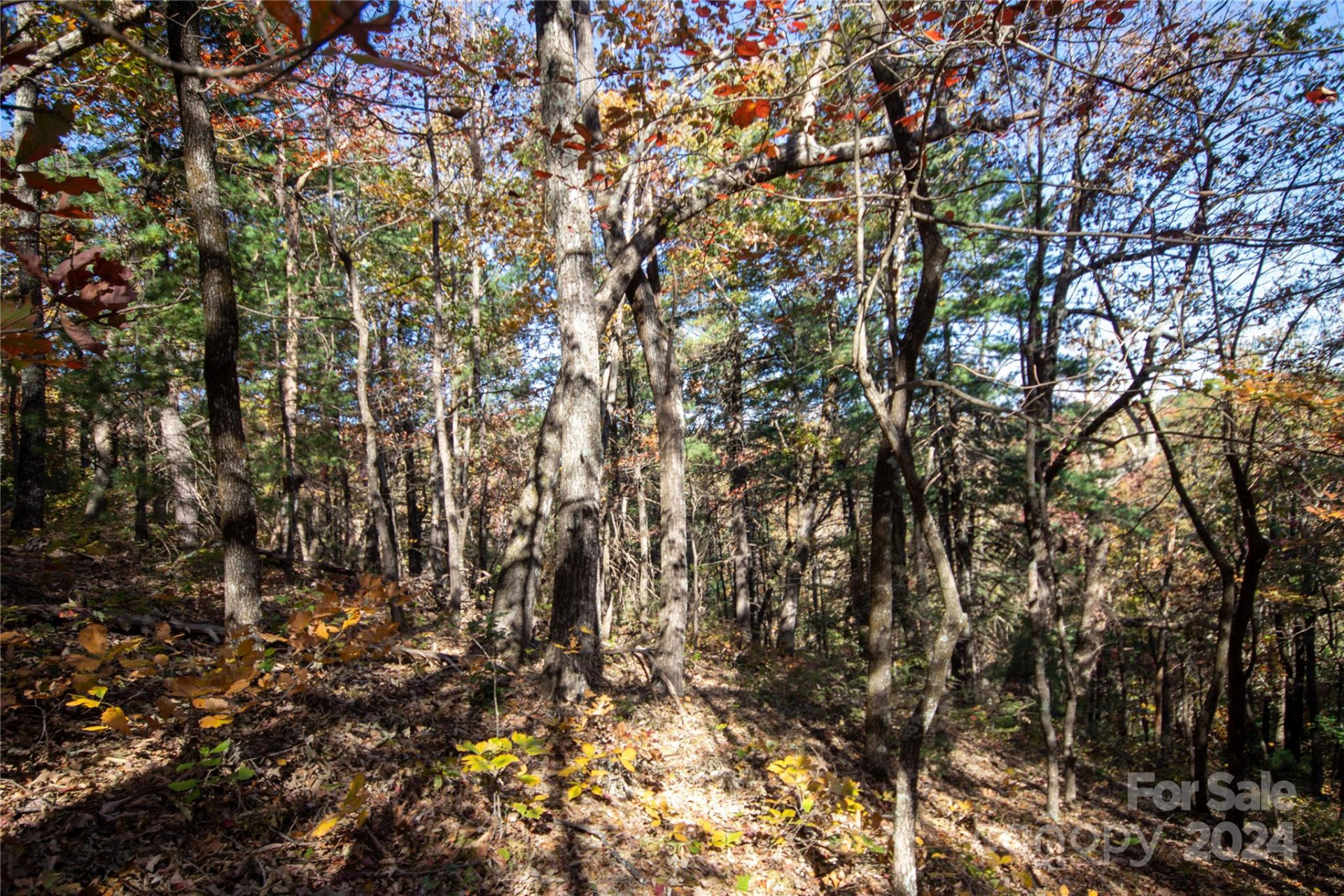 22 Hackberry Road #22 - Photo 28