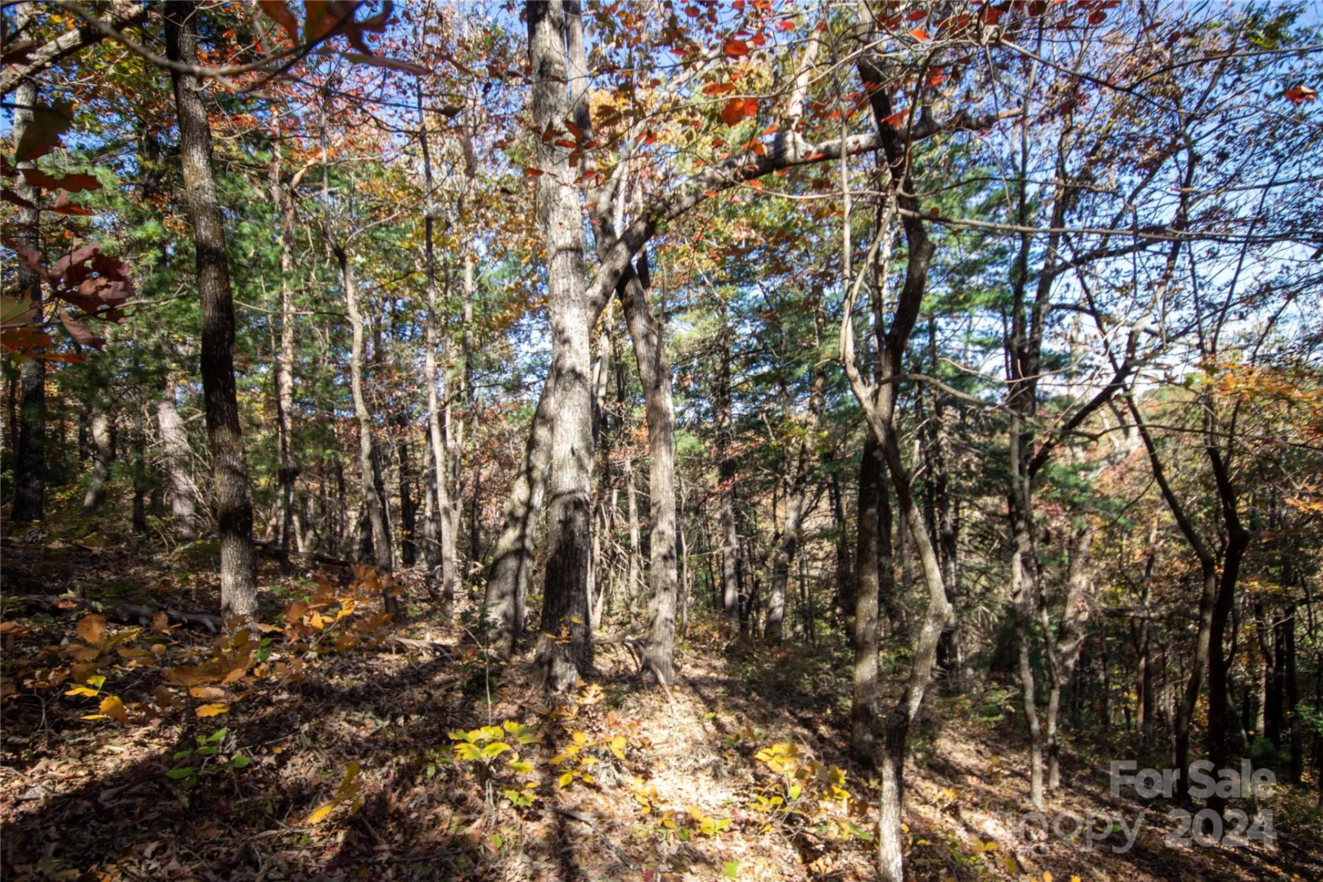 22 Hackberry Road #22 - Photo 28