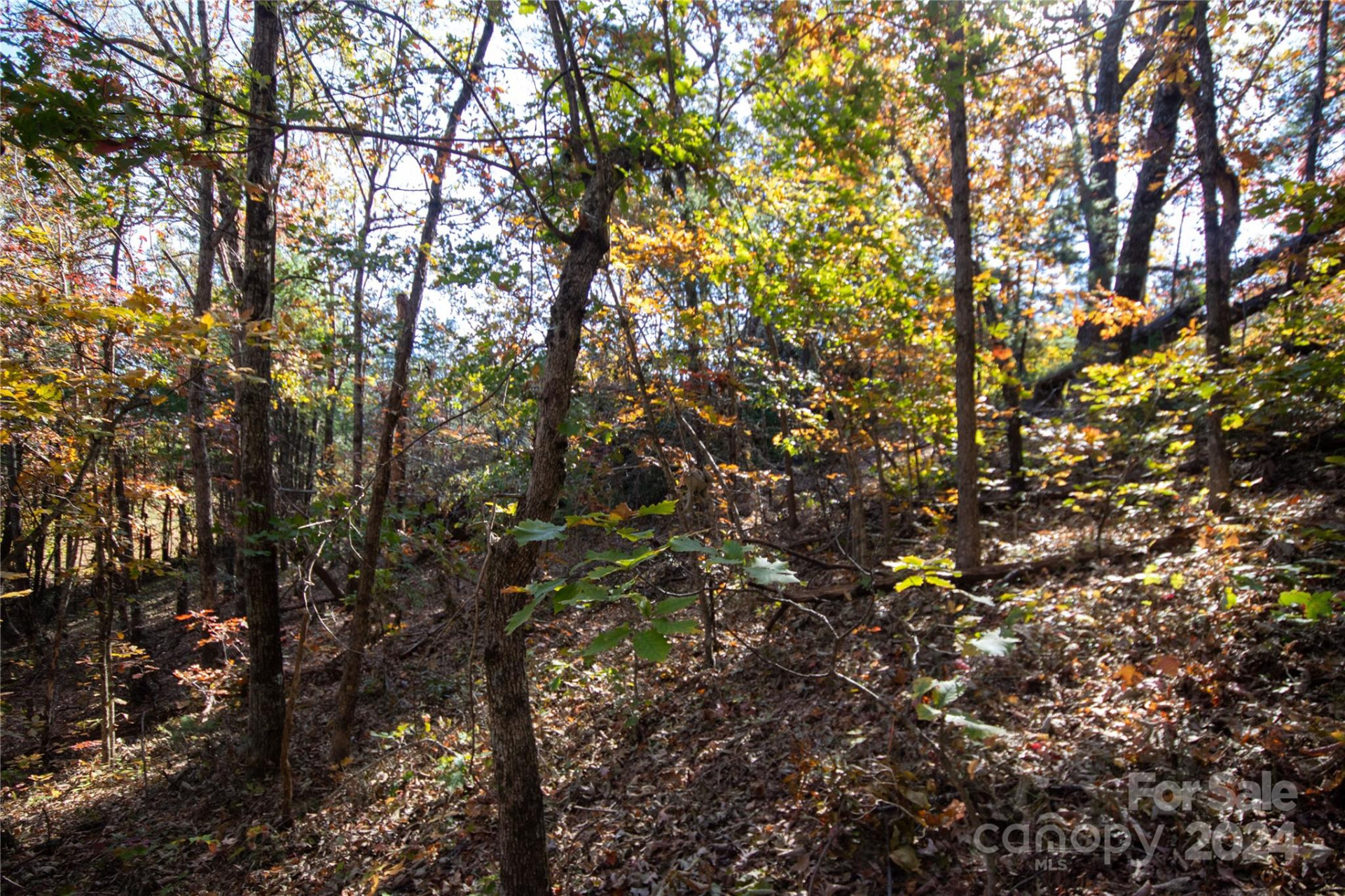 22 Hackberry Road #22 - Photo 29