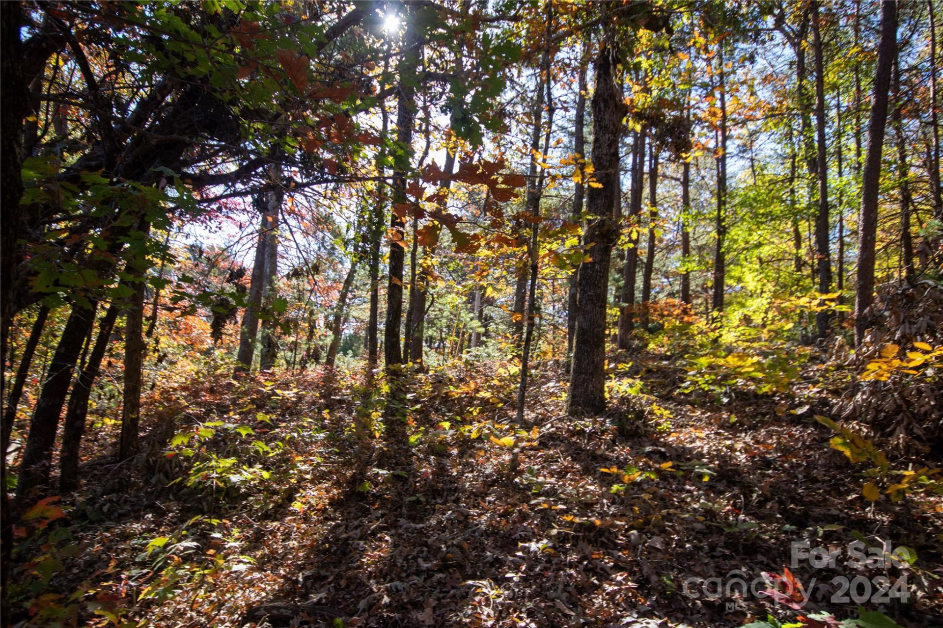 22 Hackberry Road #22 - Photo 30