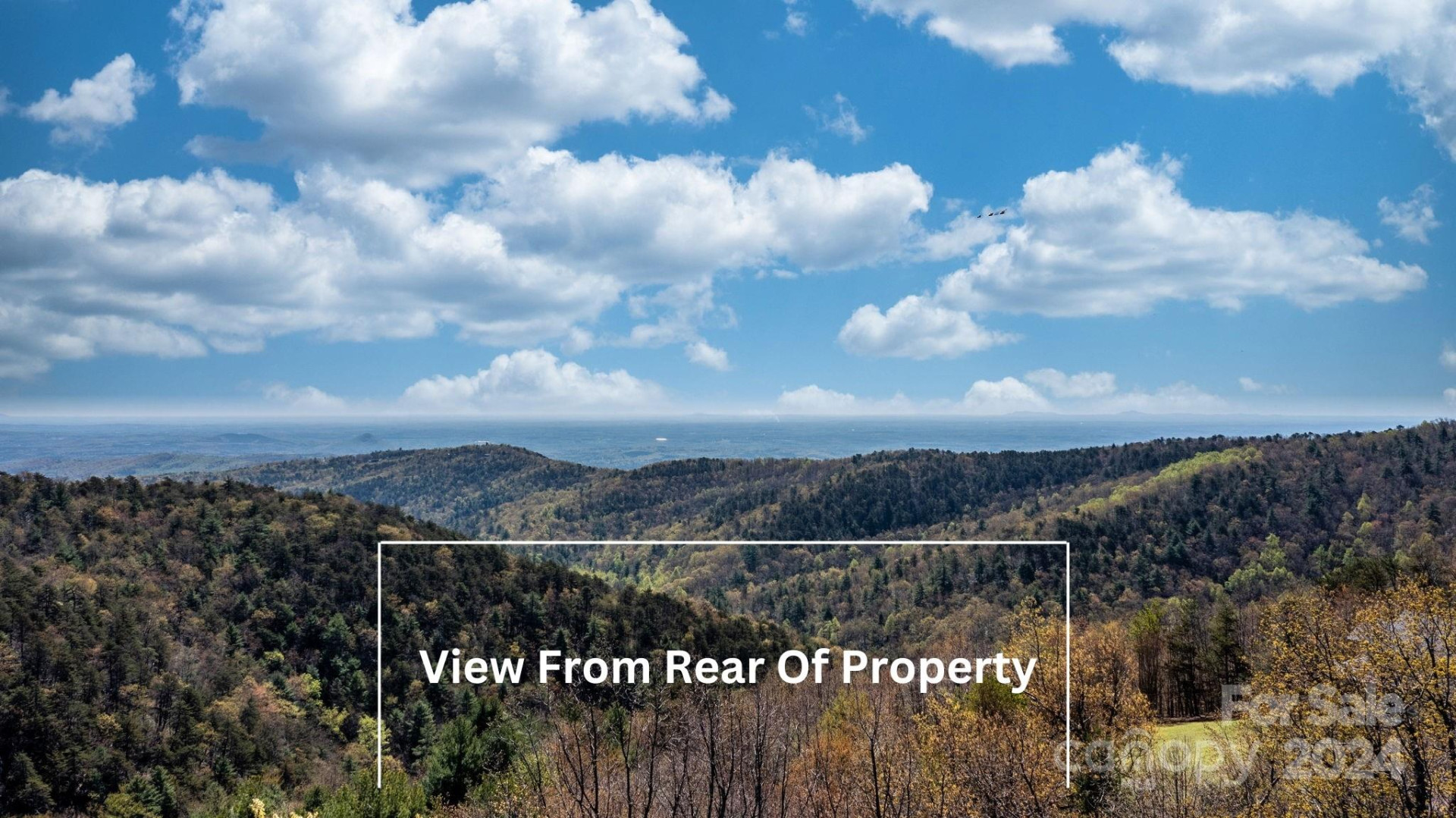 22 Hackberry Road #22 - Photo 4