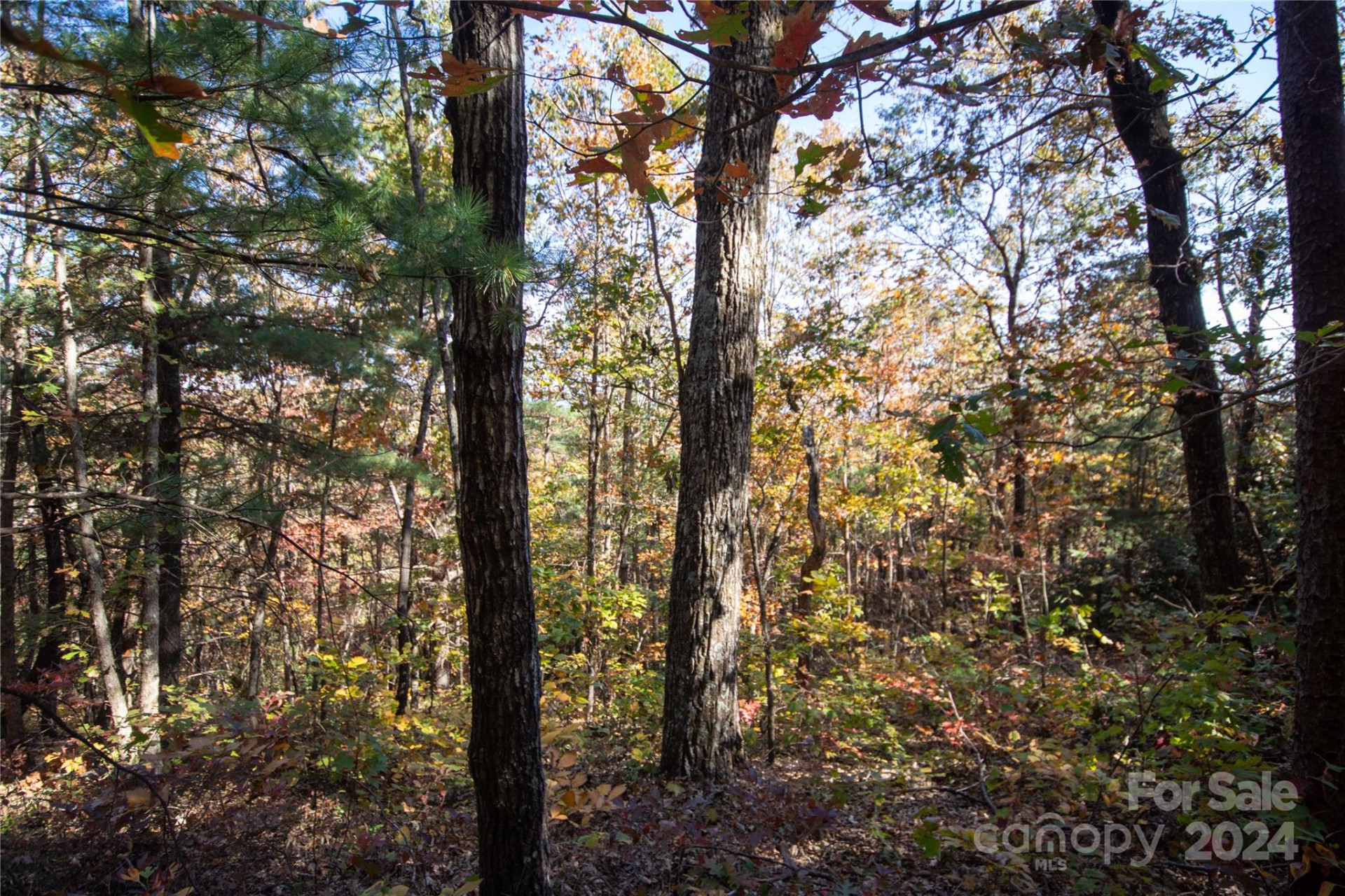 22 Hackberry Road #22 - Photo 32