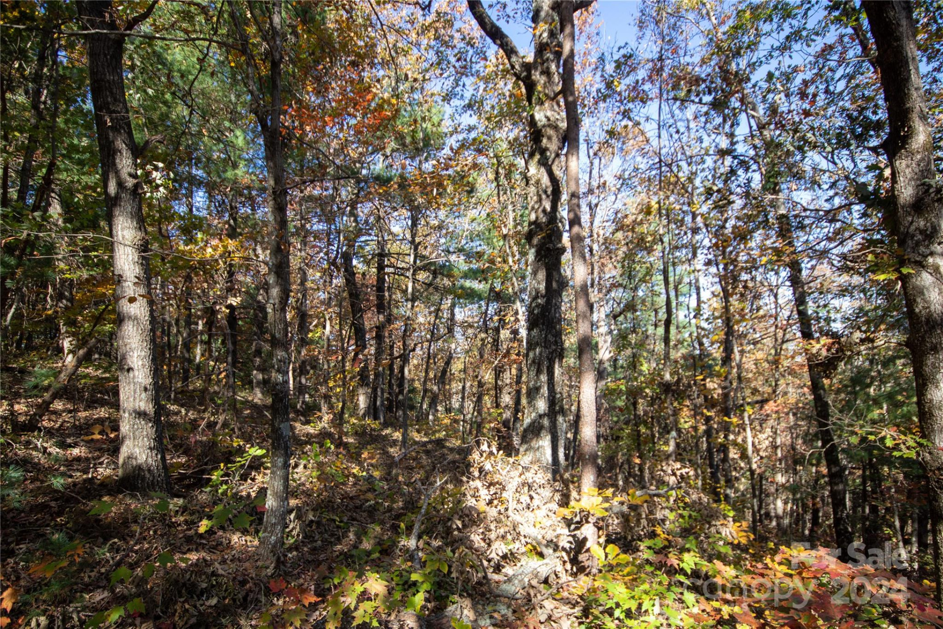 22 Hackberry Road #22 - Photo 33