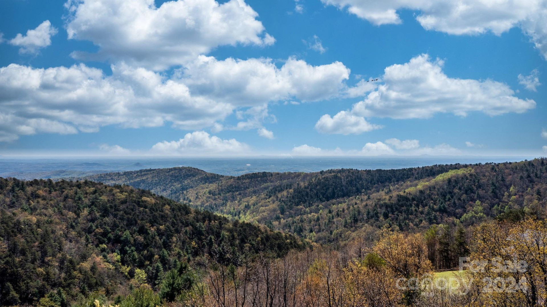 22 Hackberry Road #22 - Photo 34