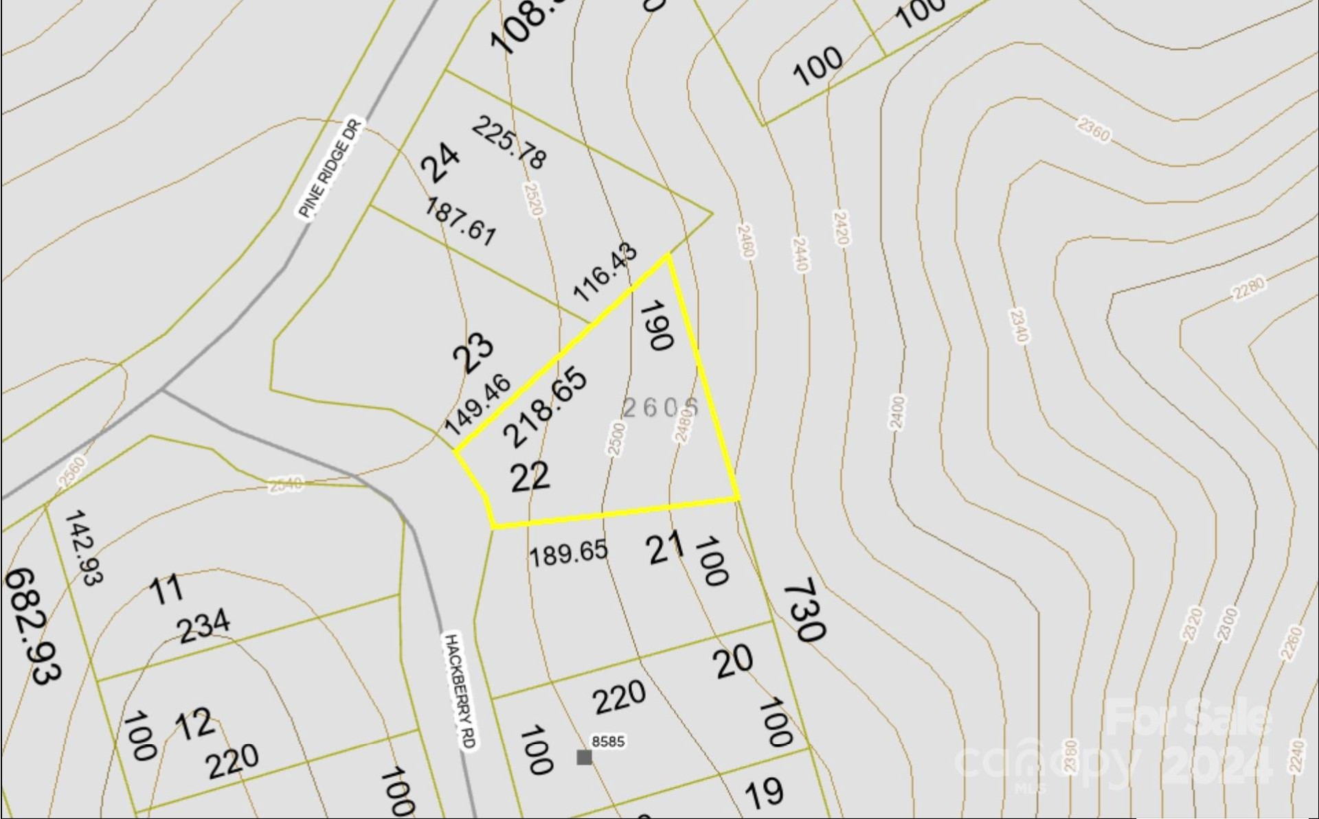 22 Hackberry Road #22 - Photo 5