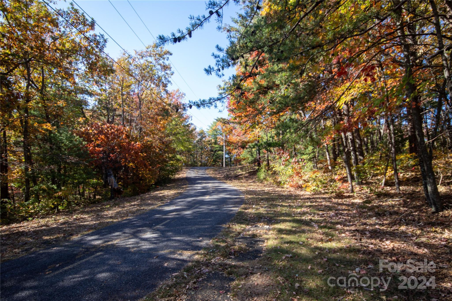 22 Hackberry Road #22 - Photo 6