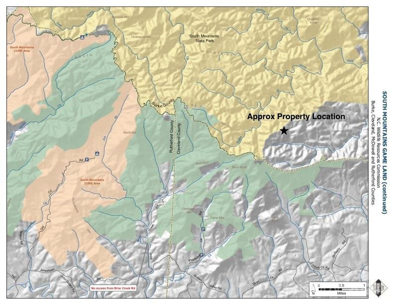 22 Hackberry Road #22 - Photo 9