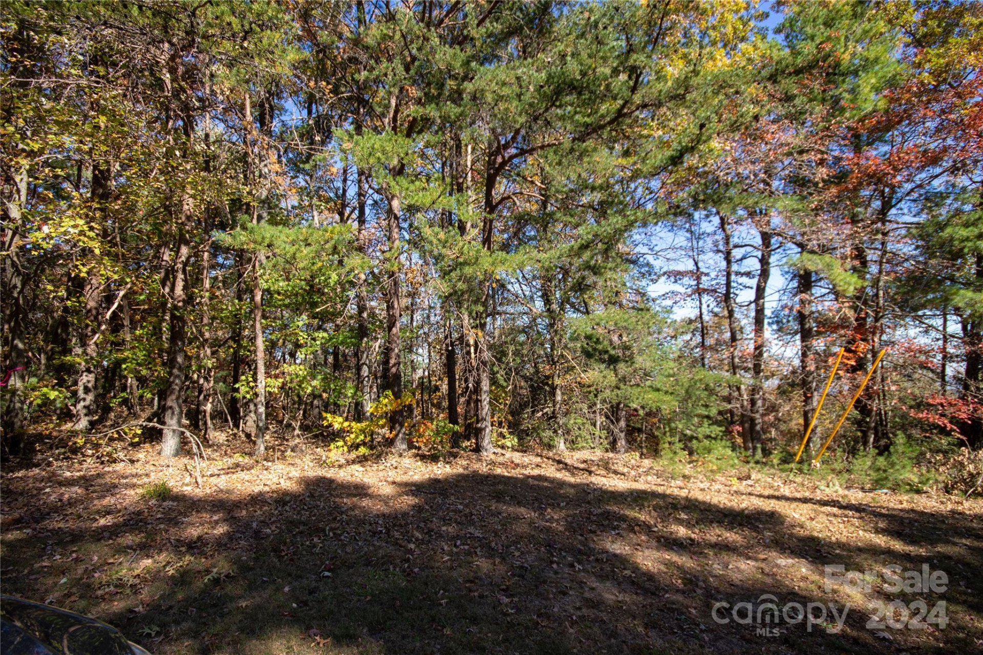 22 Hackberry Road #22 - Photo 10