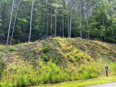 200 Settings Boulevard - Photo 3