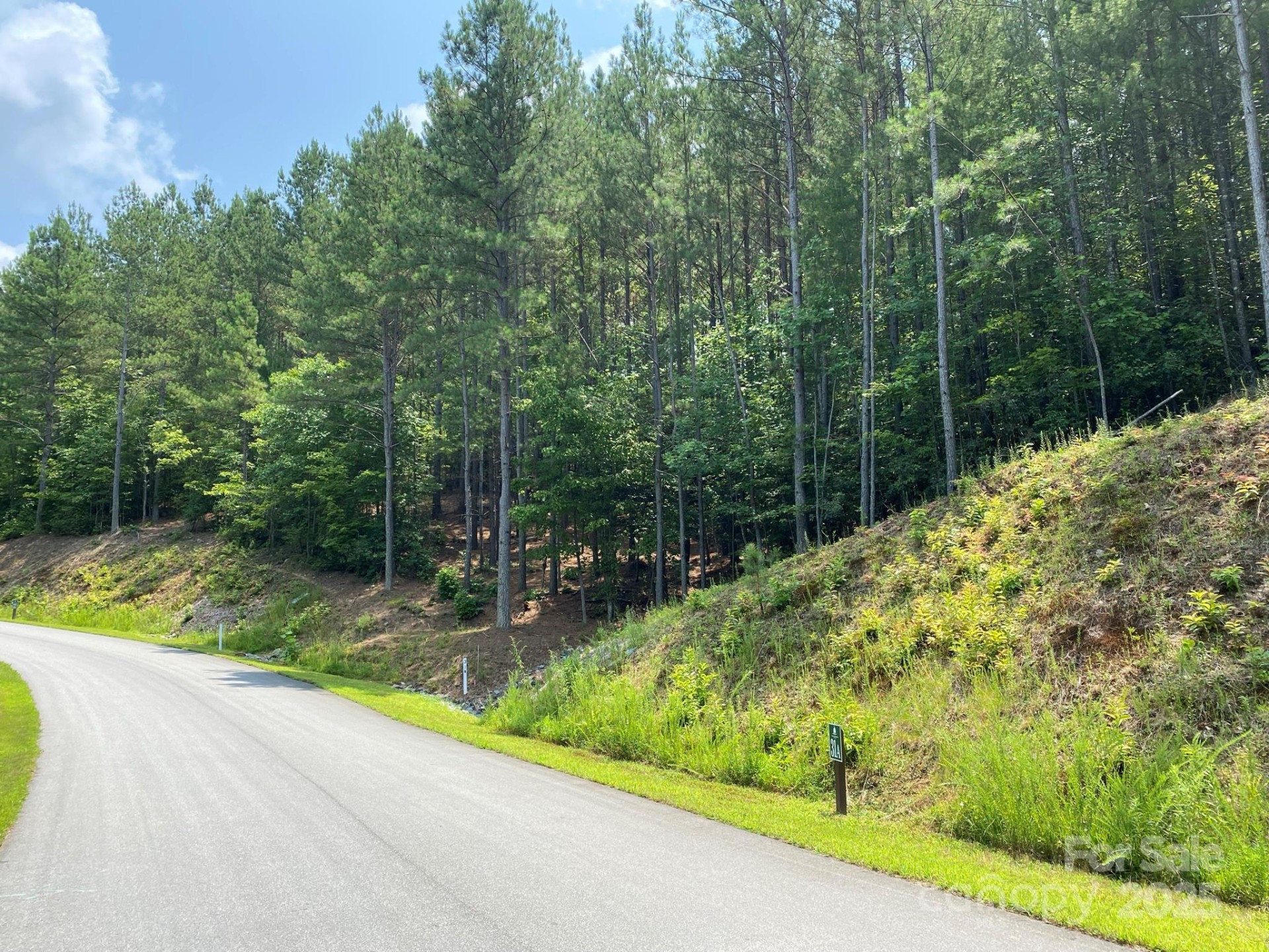 200 Settings Boulevard - Photo 6