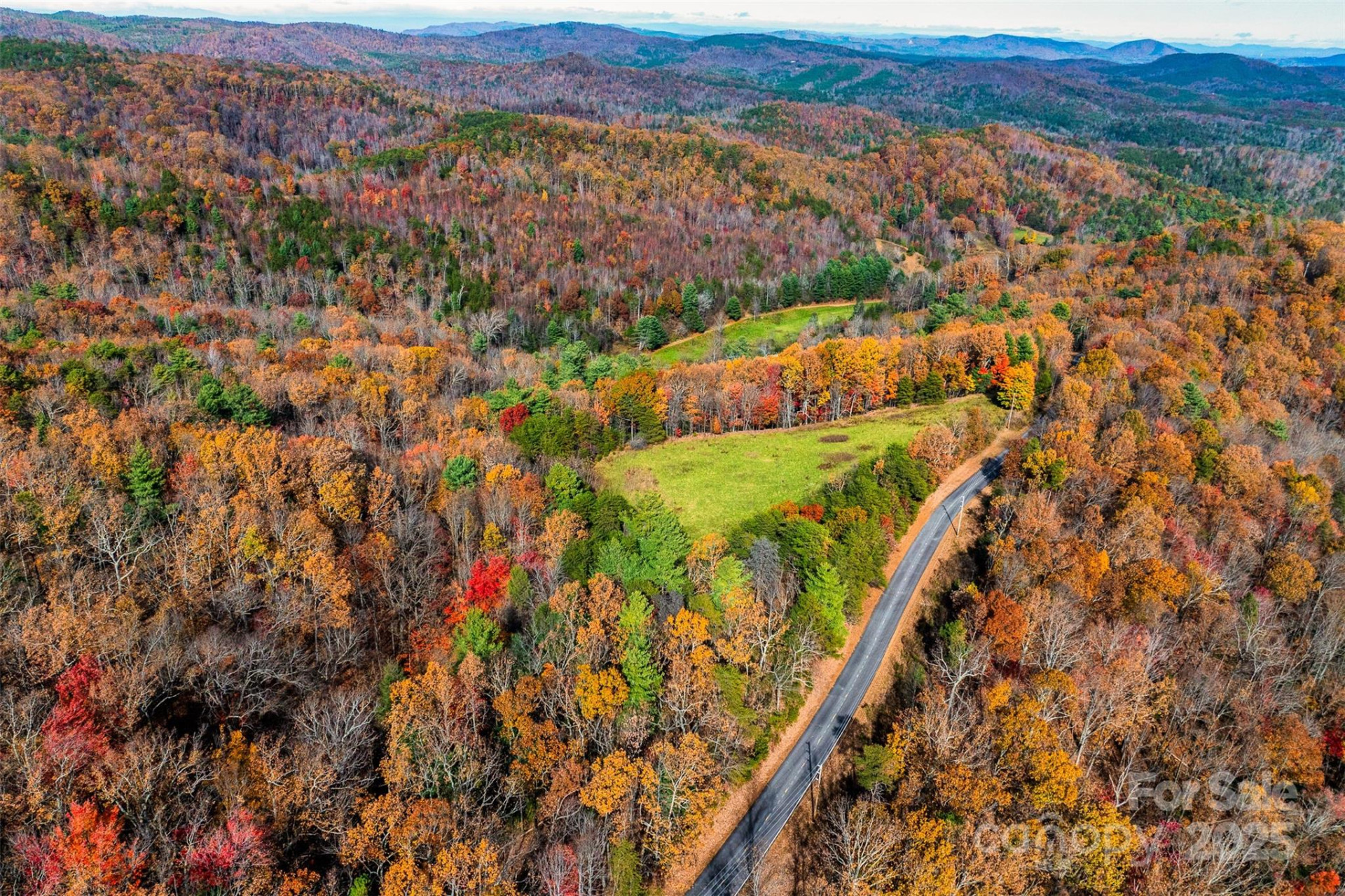 2909 Pine Mountain Drive - Photo 2