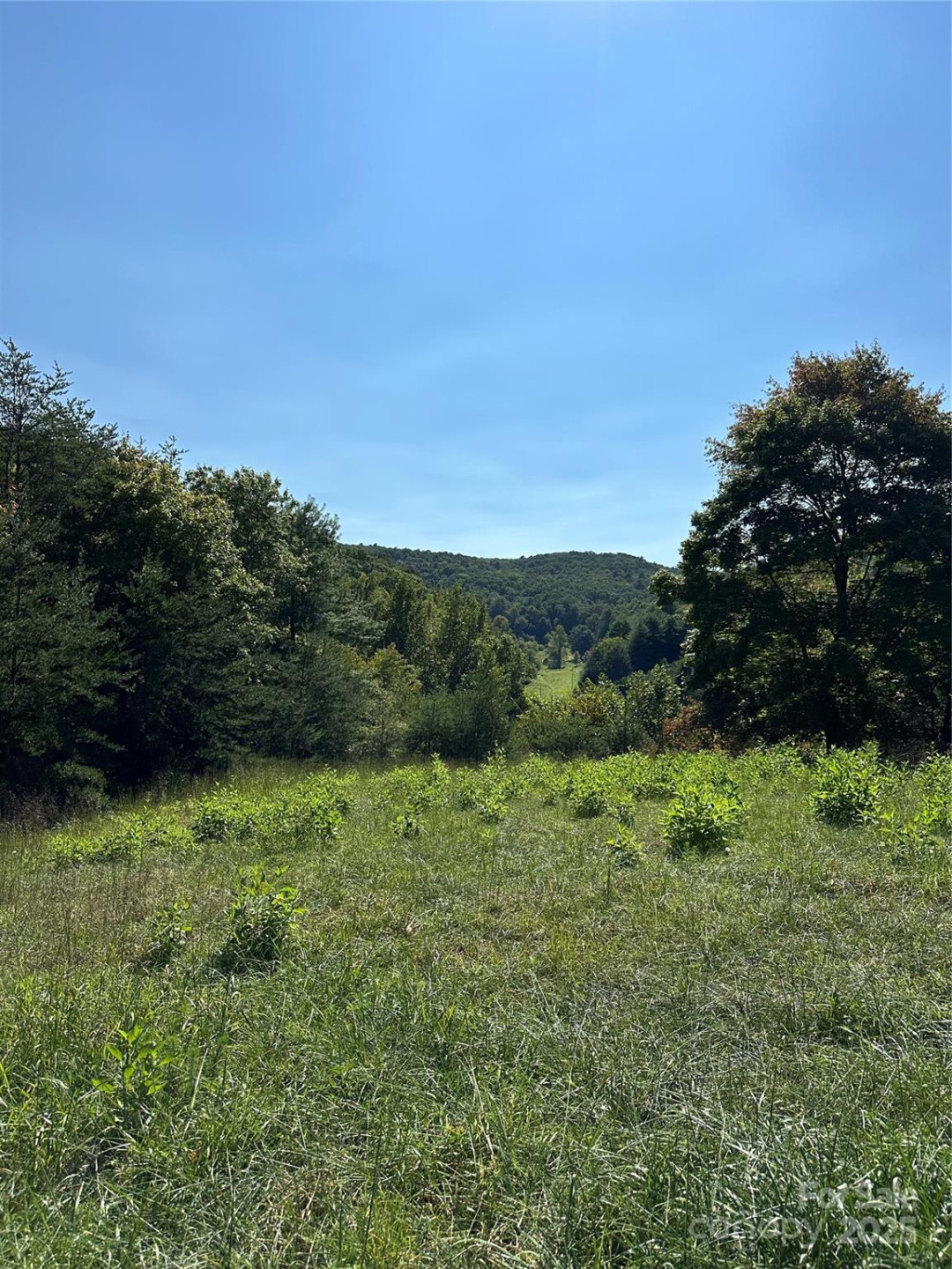 2909 Pine Mountain Drive - Photo 12