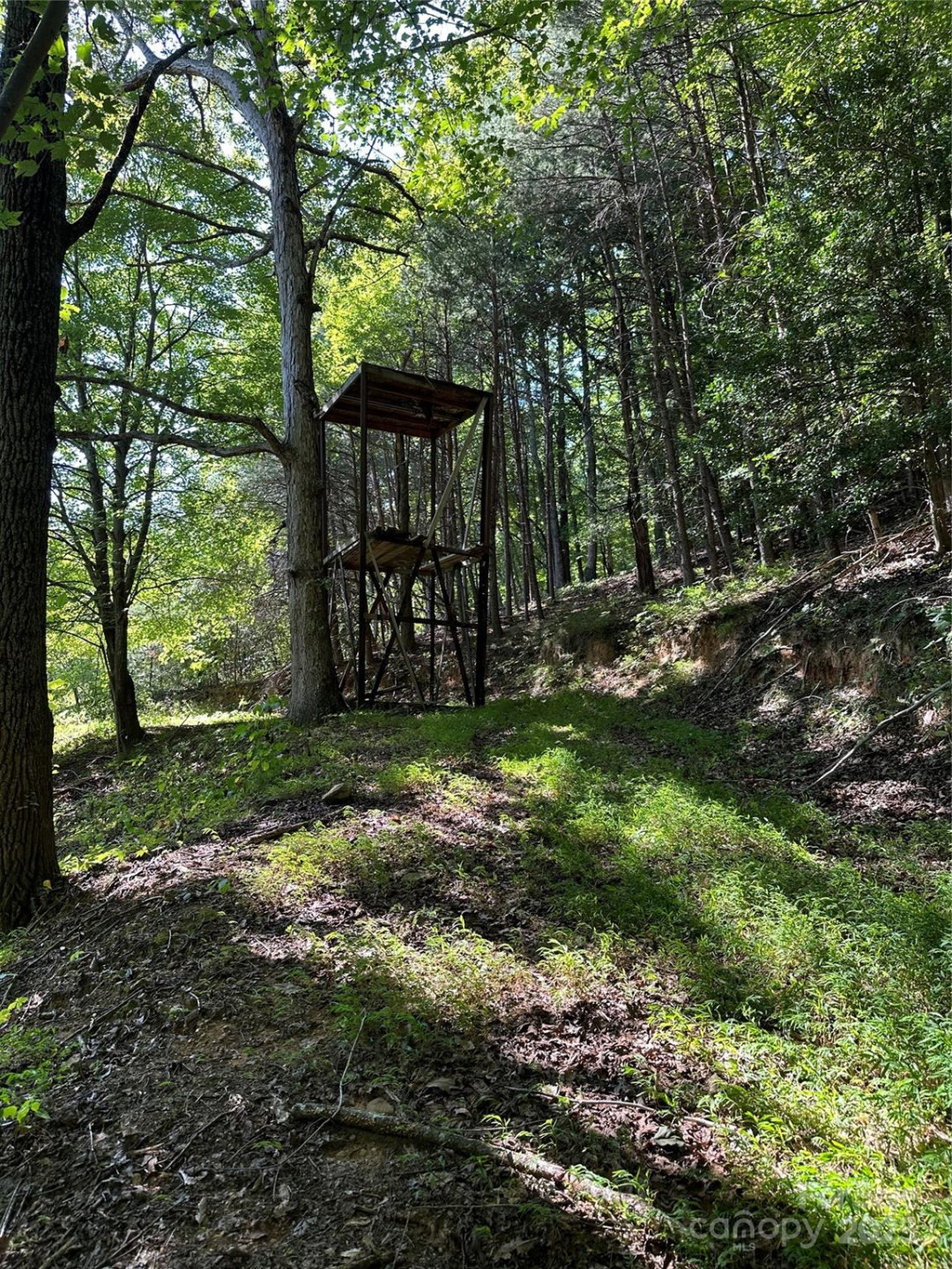 2909 Pine Mountain Drive - Photo 18