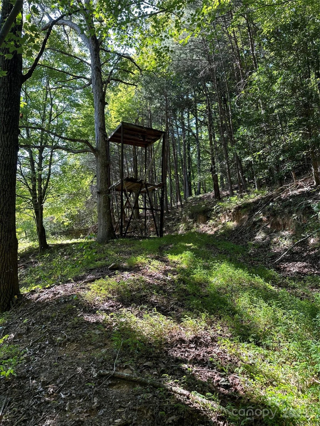 2909 Pine Mountain Drive - Photo 18
