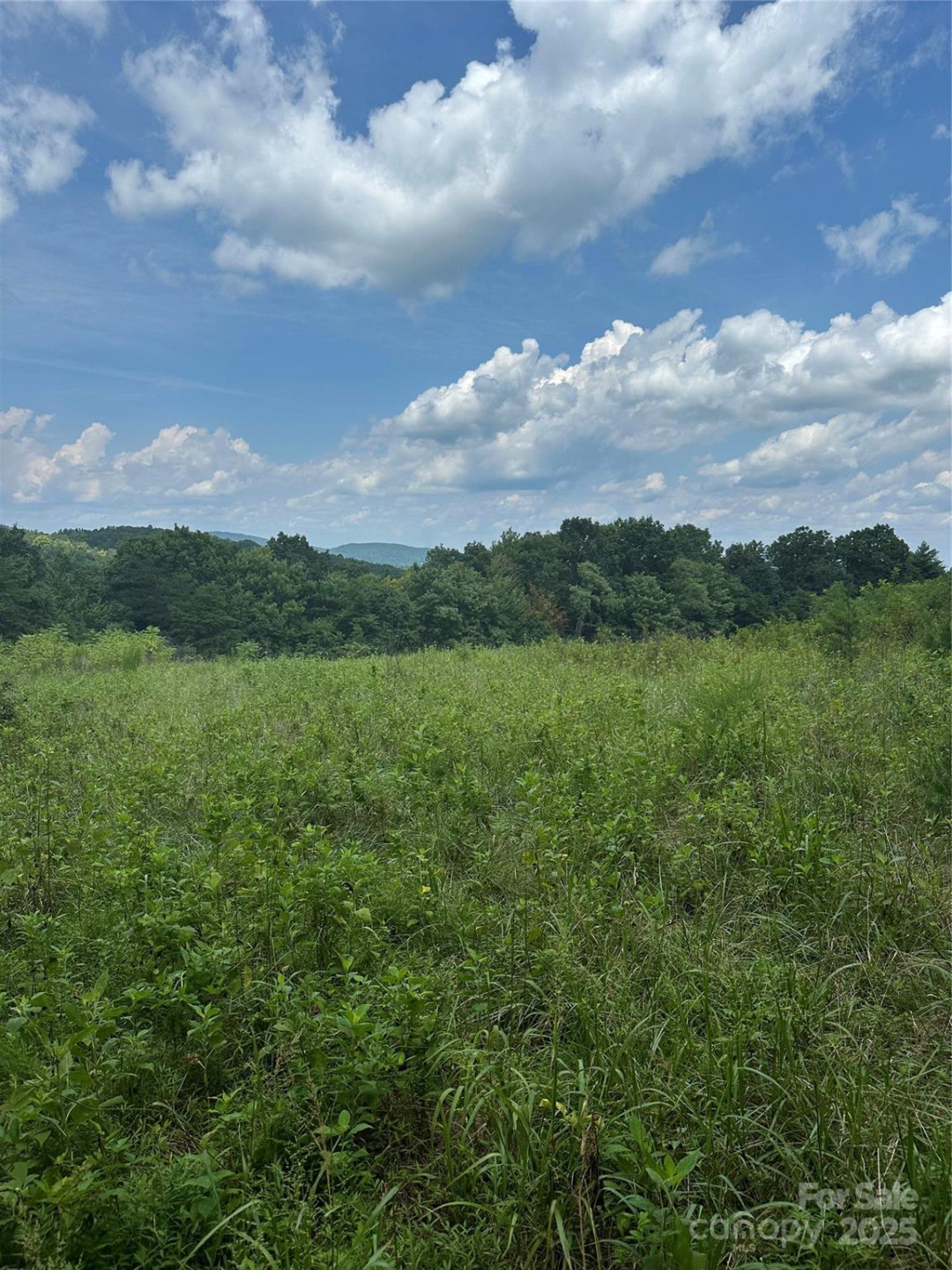 2909 Pine Mountain Drive - Photo 19