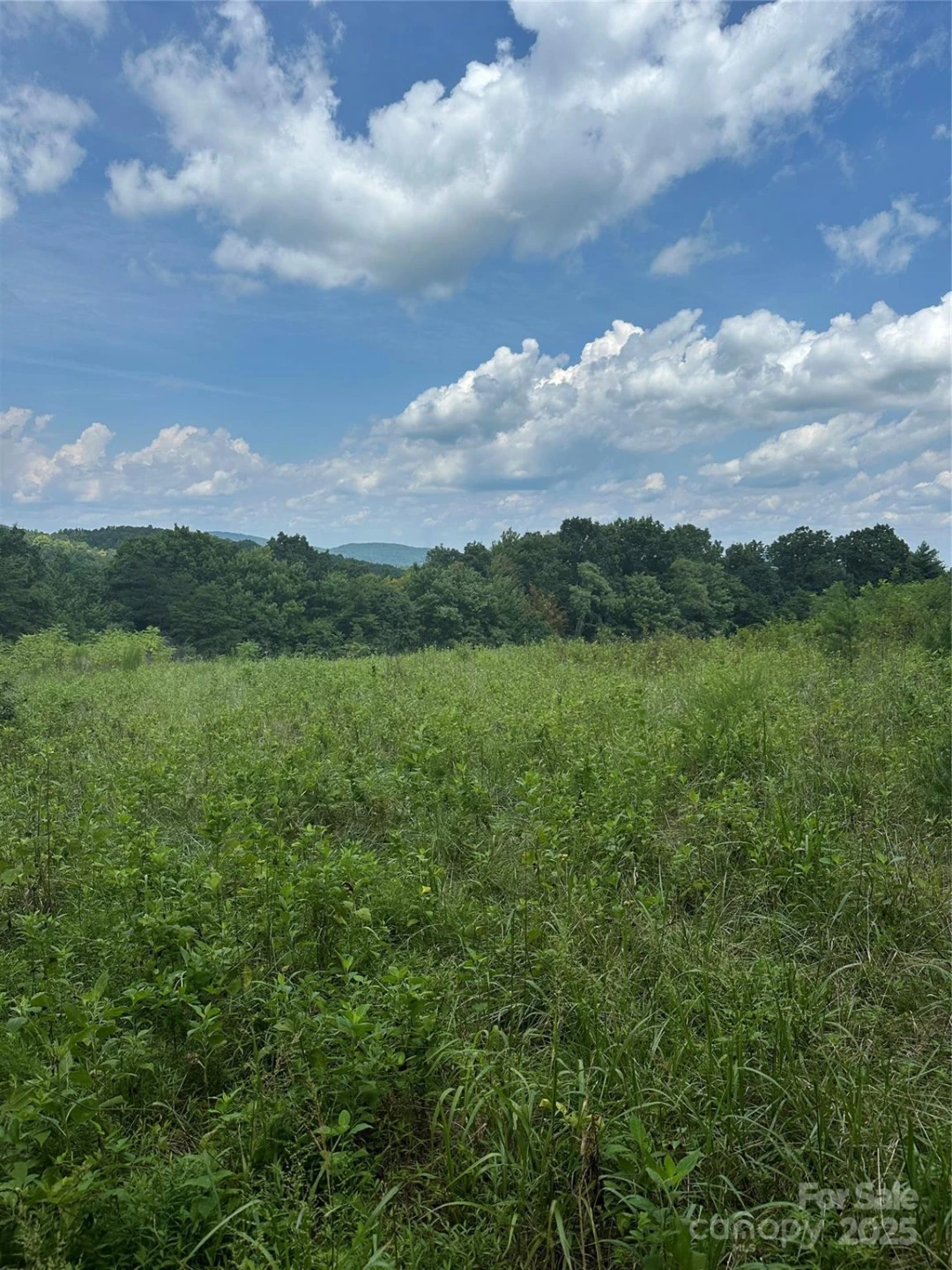 2909 Pine Mountain Drive - Photo 19