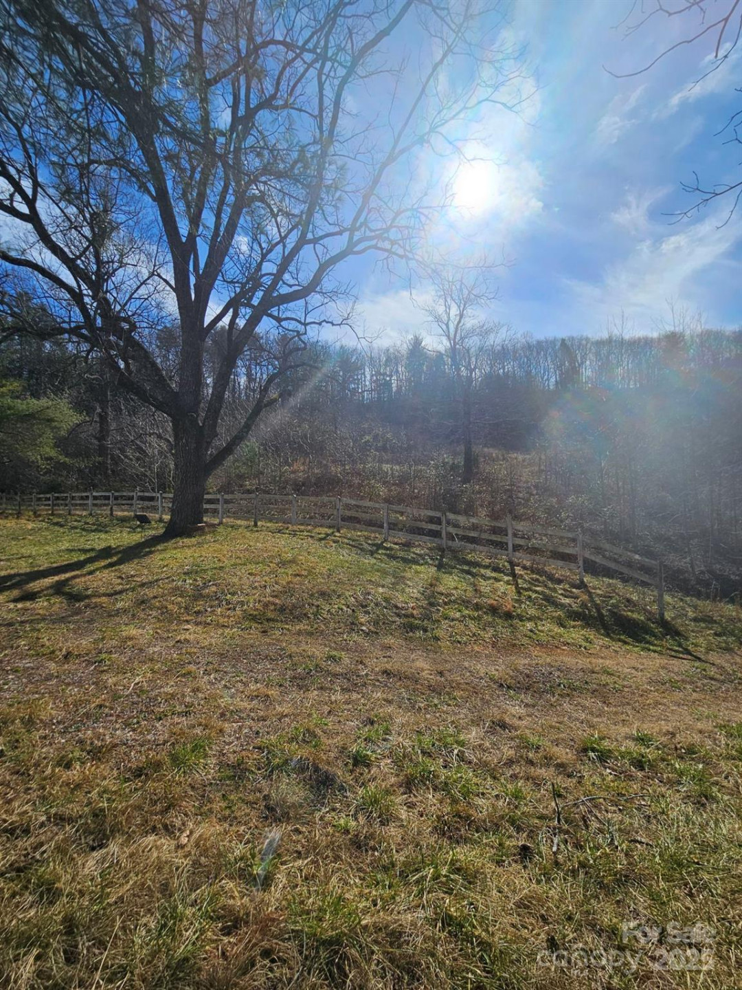 2909 Pine Mountain Drive - Photo 20