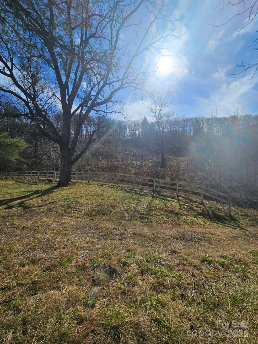 2909 Pine Mountain Drive - Photo 20