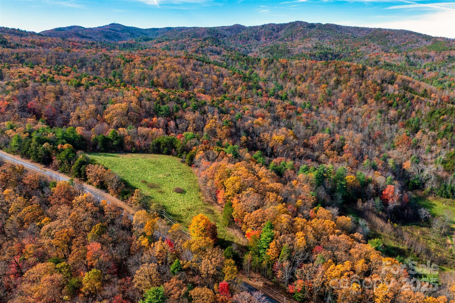 2909 Pine Mountain Drive - Photo 3