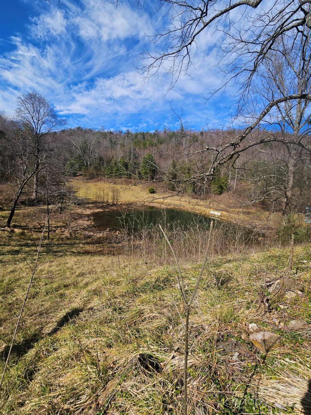 2909 Pine Mountain Drive - Photo 21