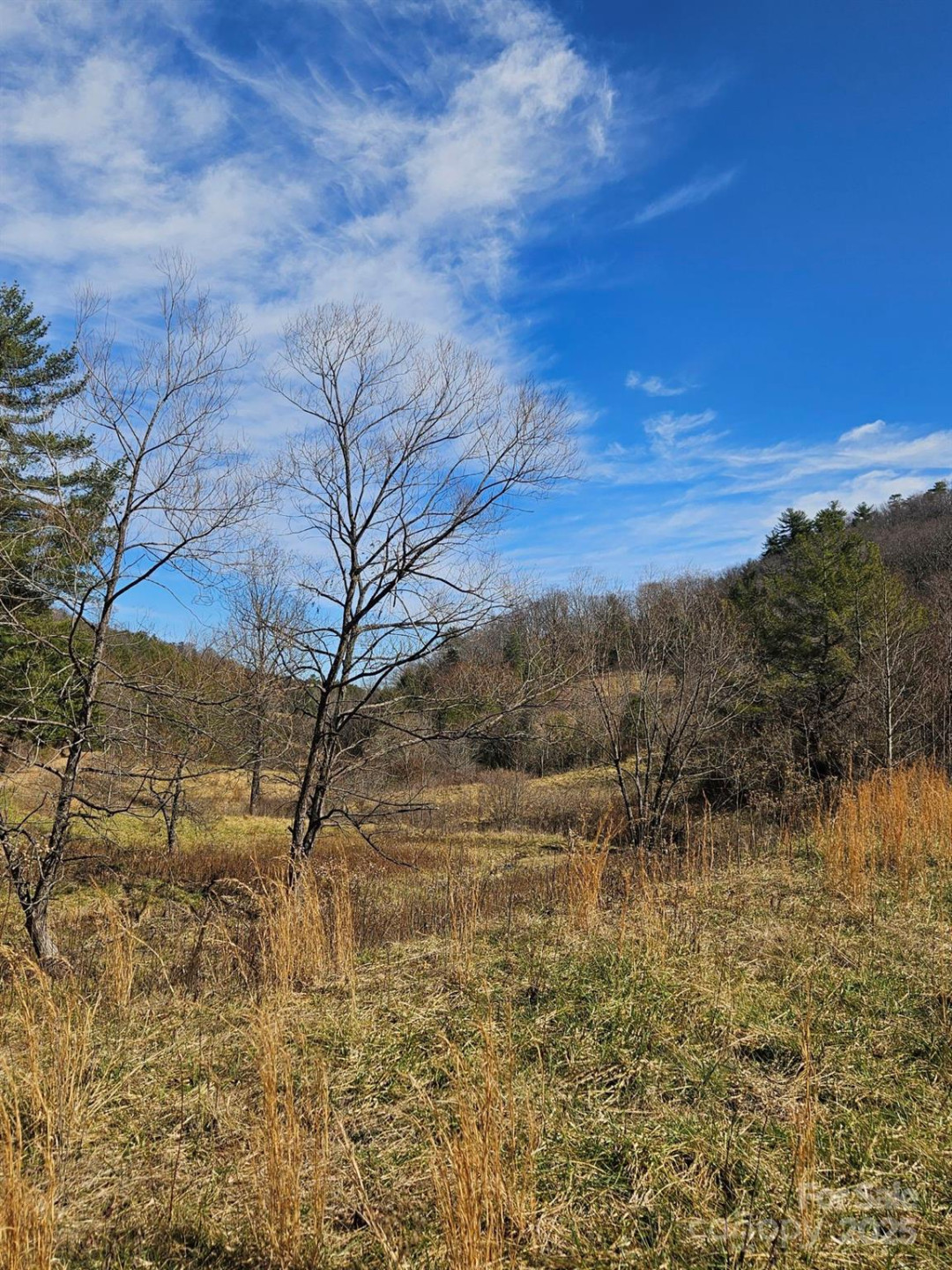 2909 Pine Mountain Drive - Photo 22