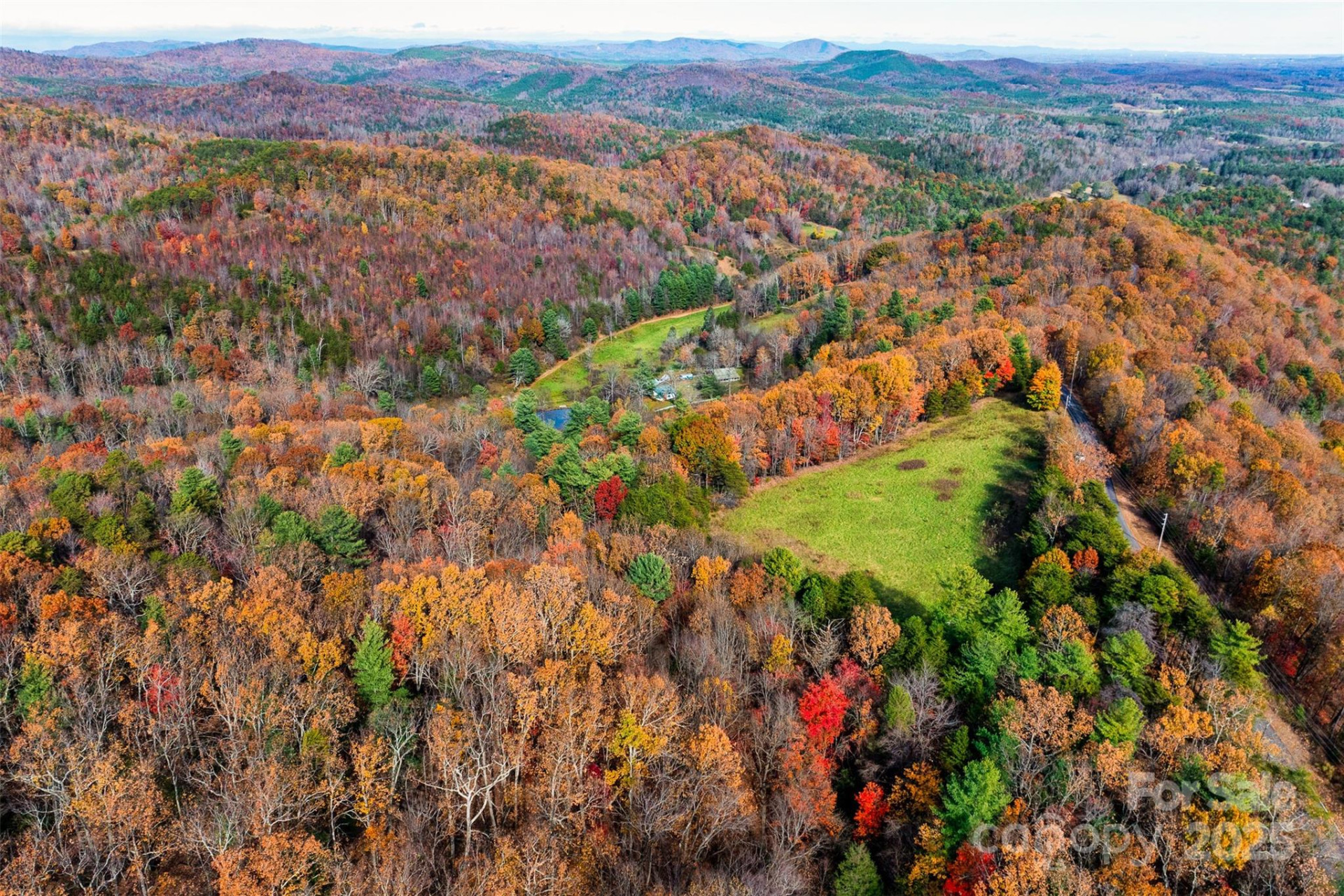 2909 Pine Mountain Drive - Photo 4