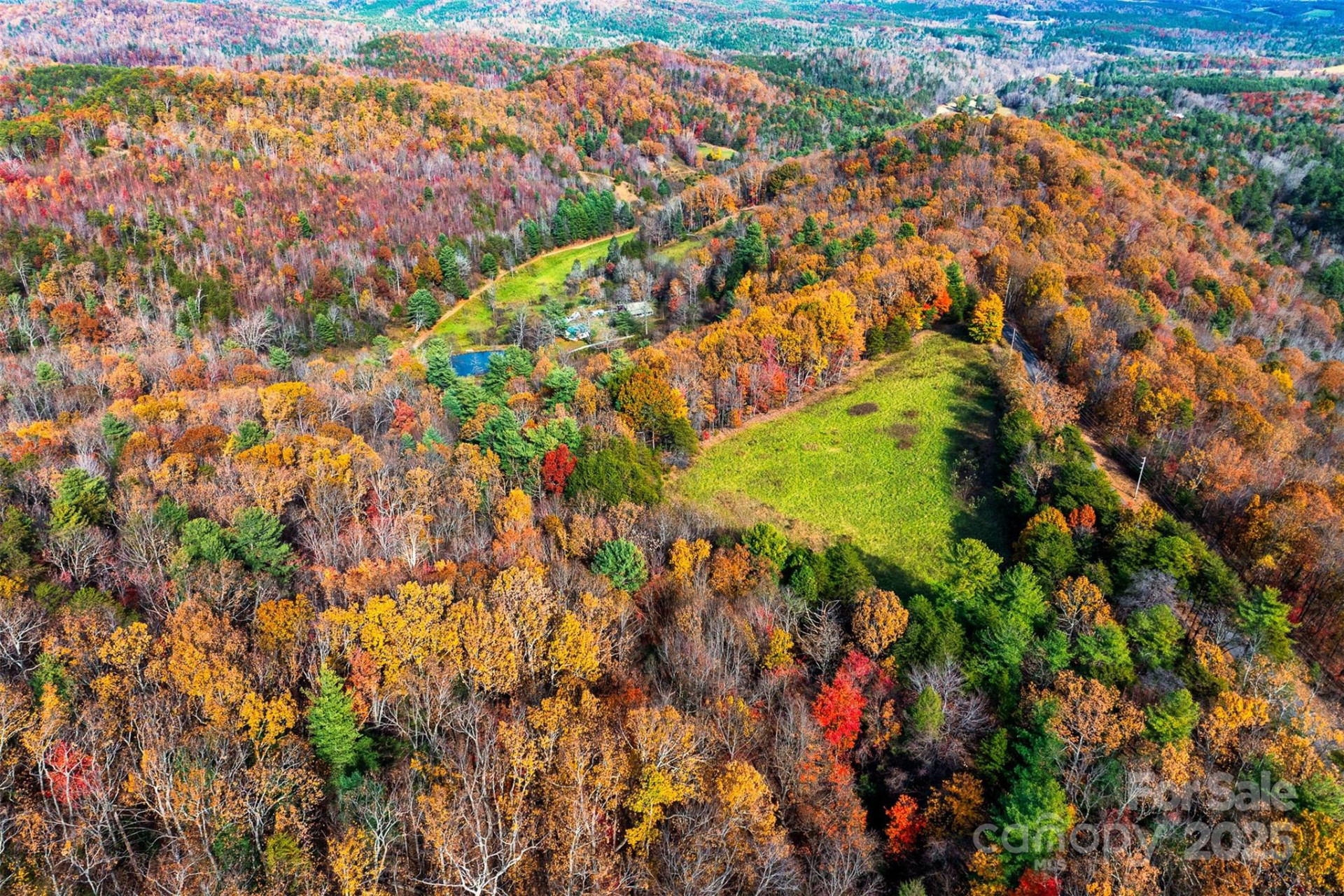 2909 Pine Mountain Drive - Photo 5