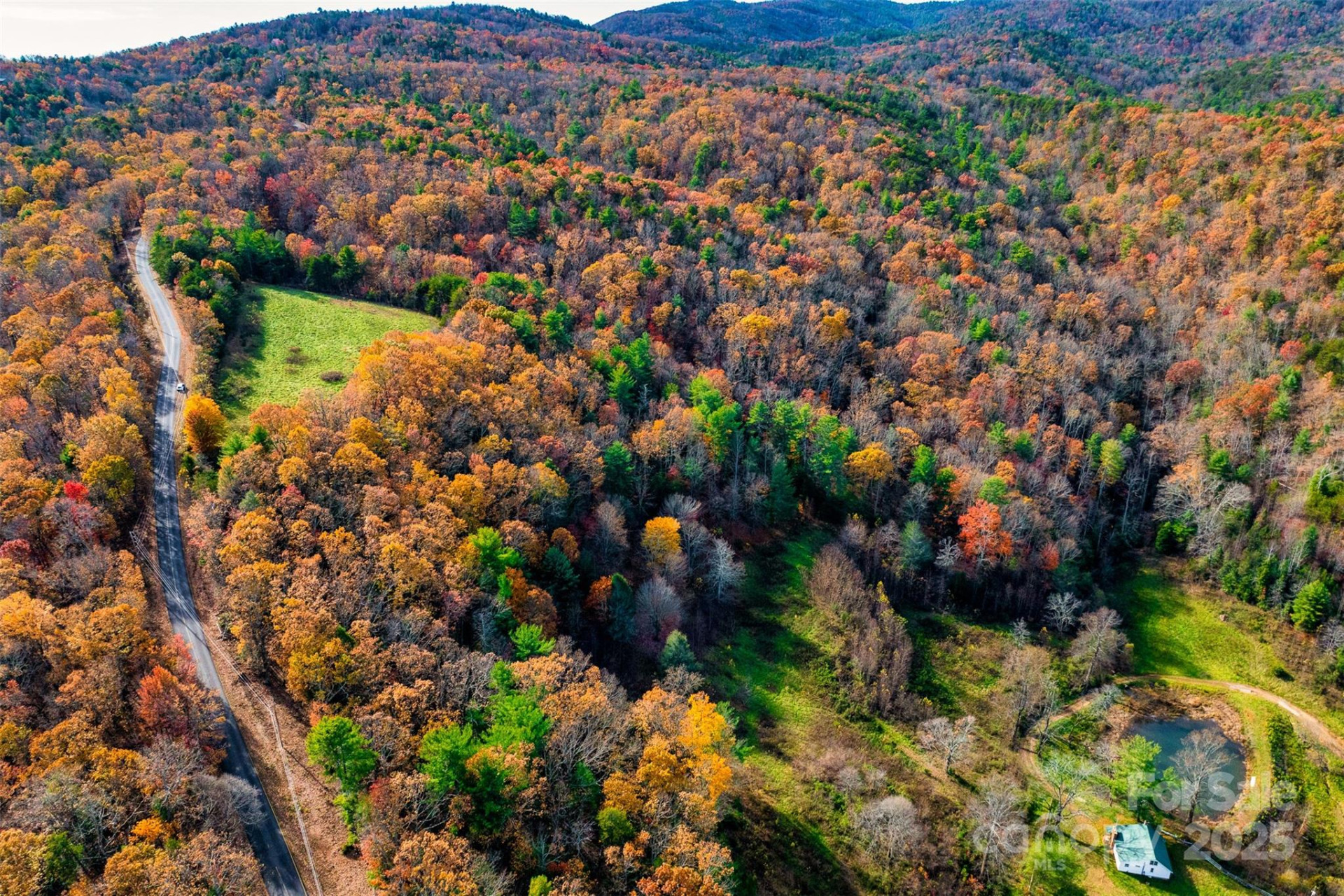 2909 Pine Mountain Drive - Photo 6