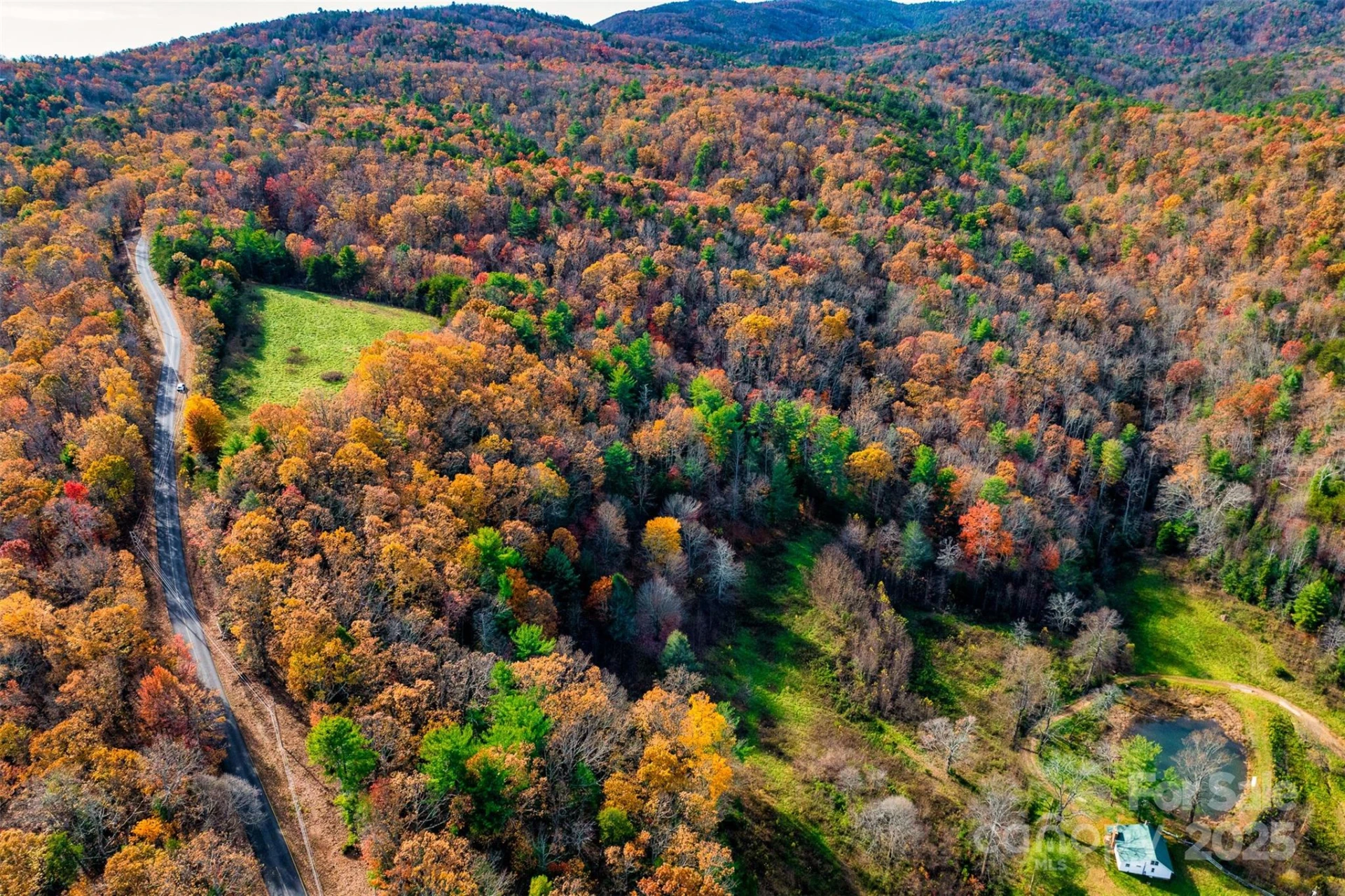 2909 Pine Mountain Drive - Photo 6