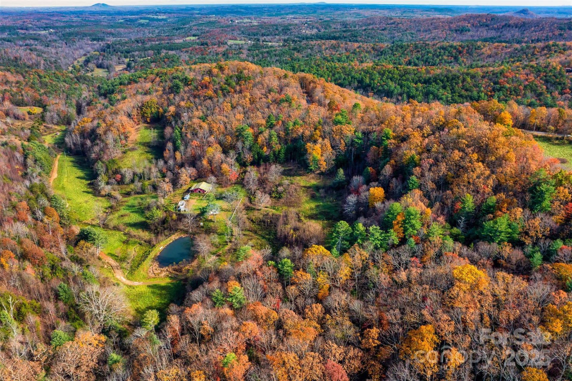 2909 Pine Mountain Drive - Photo 7